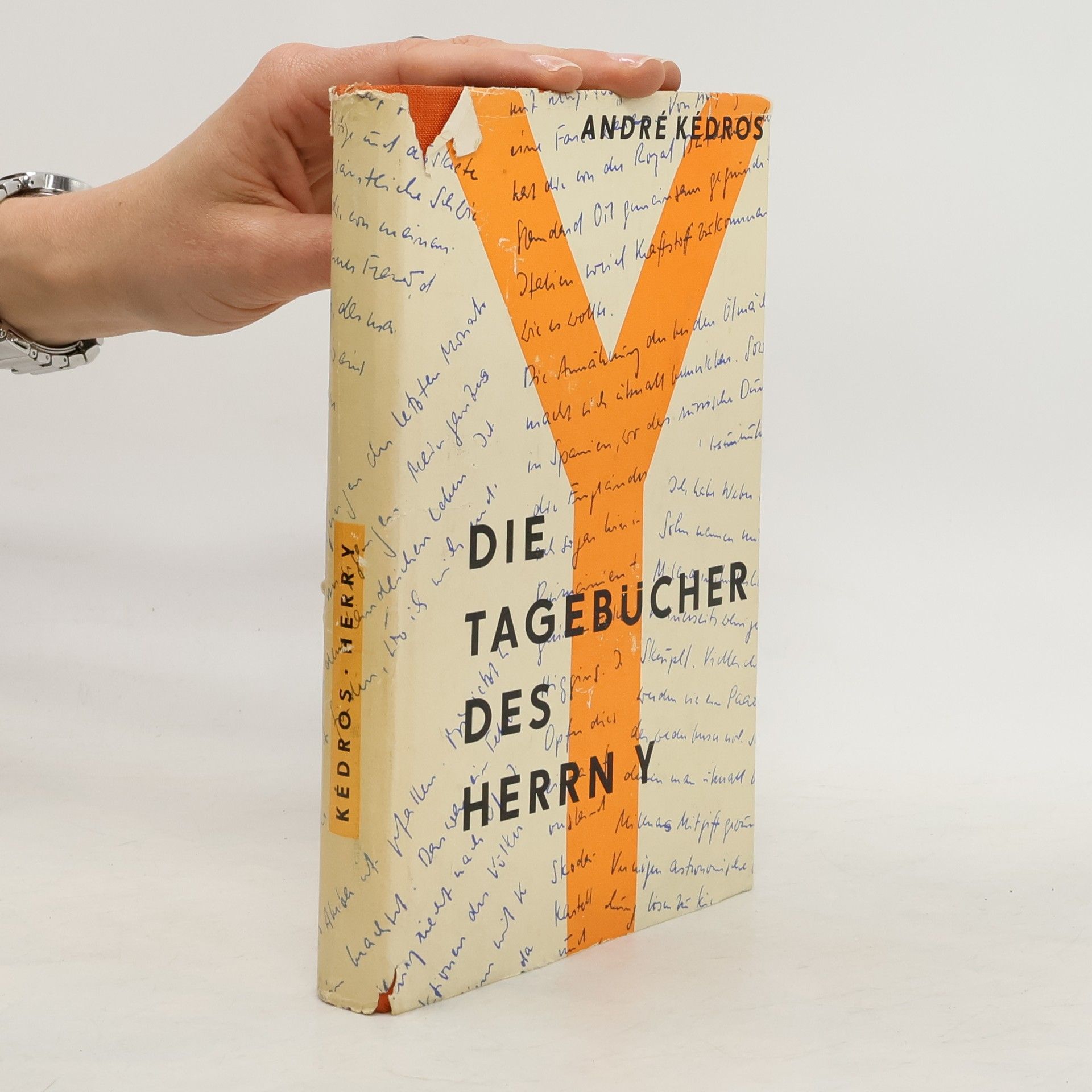 André Kédros Die Tagebücher des Herrn Y