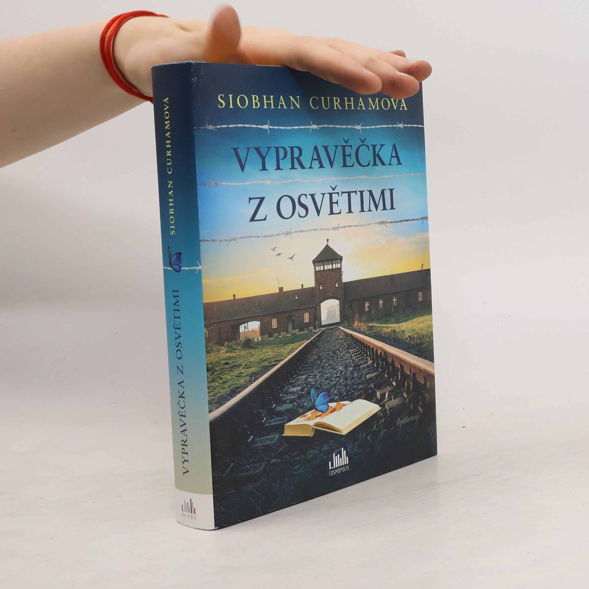 Siobhan Curham Vypravěčka z Osvětimi