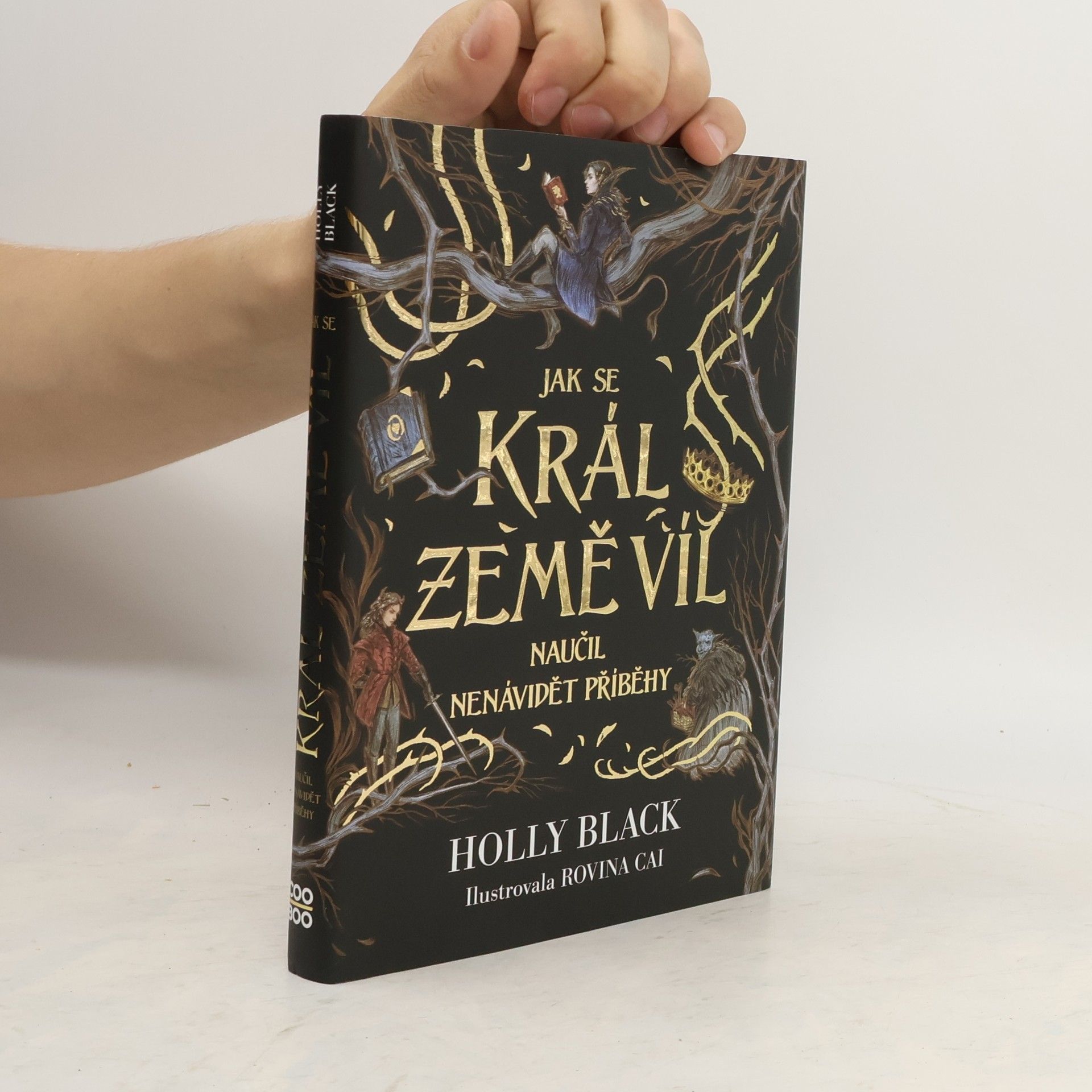 Holly Black Jak se král Země víl naučil nenávidět příběhy