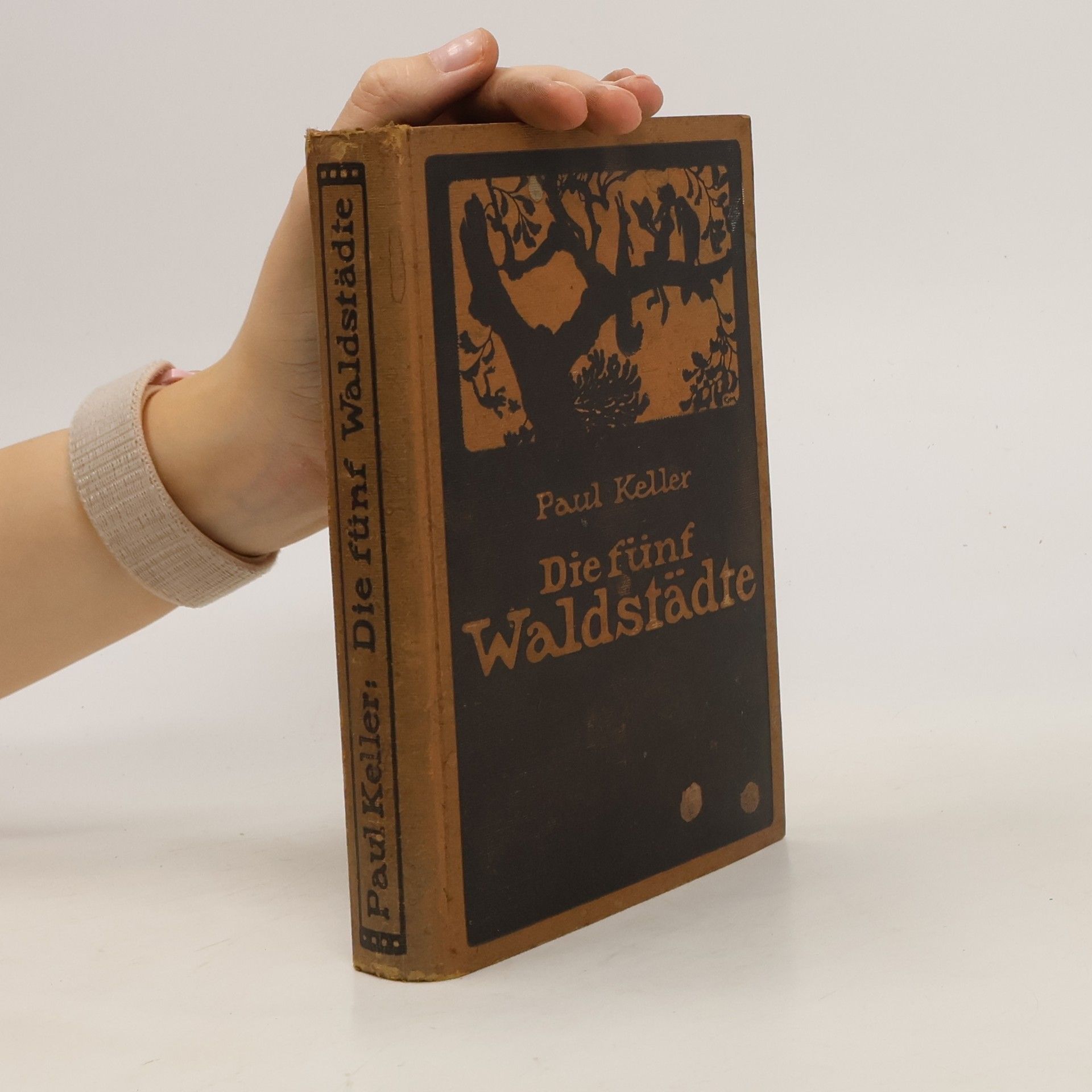 Paul Keller Die fünf Waldstädte : ein Buch für Menschen, die jung sind