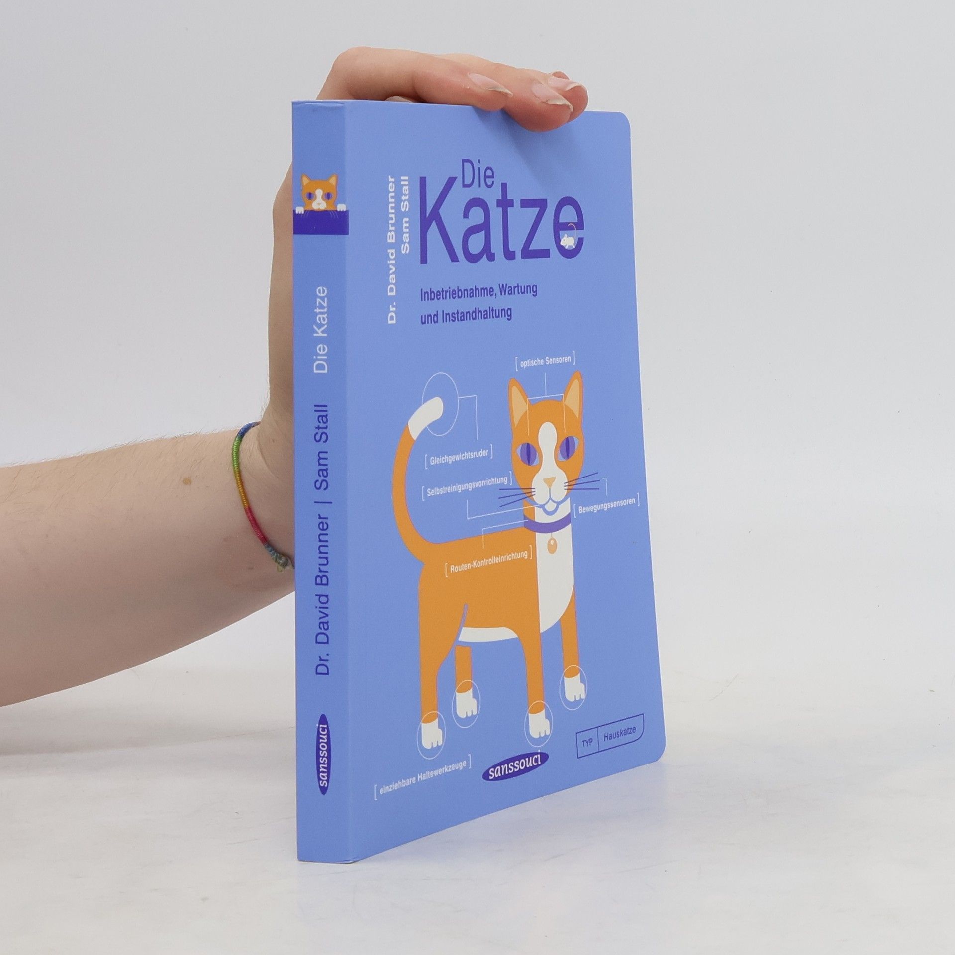 David Brunner Die Katze