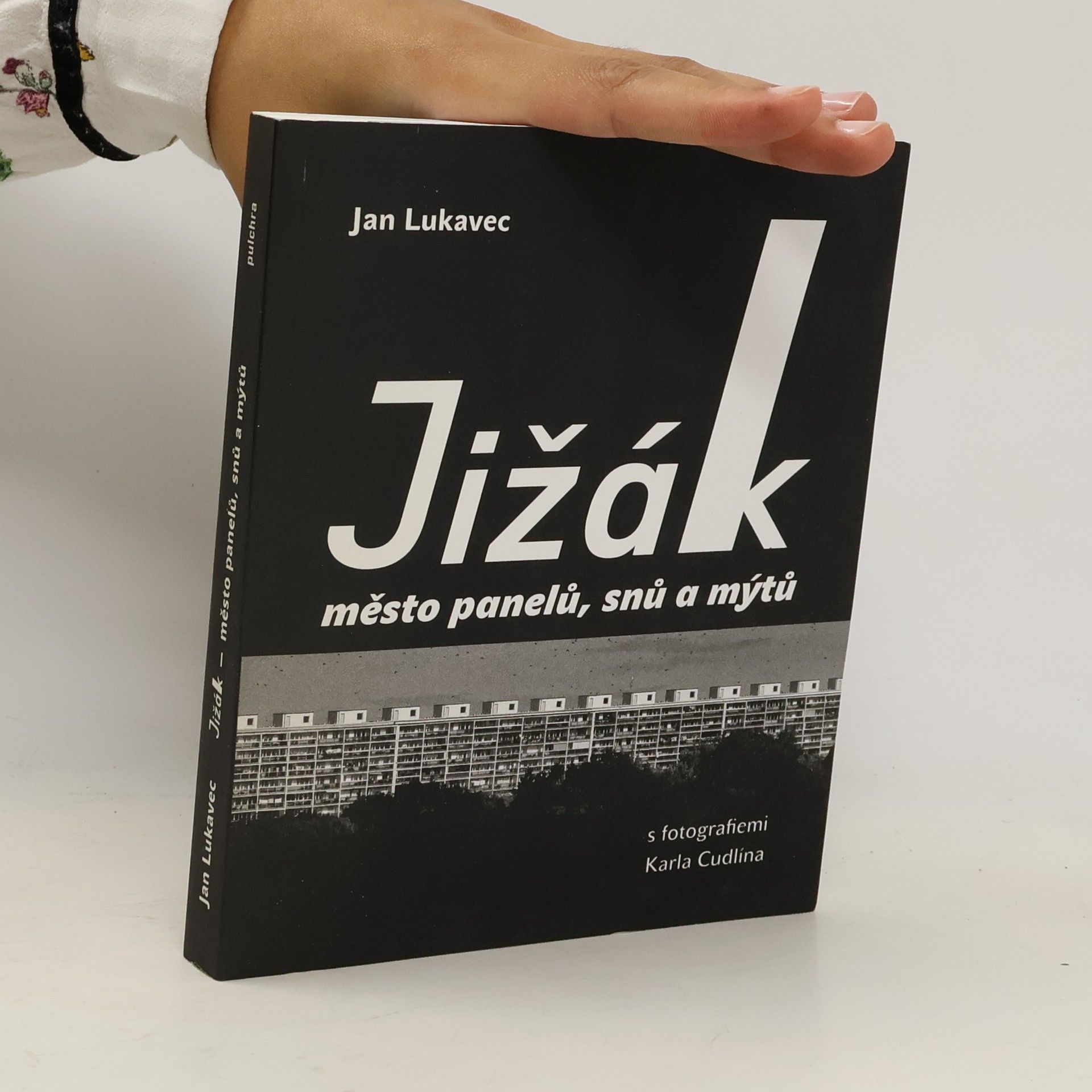 Jan Lukavec Jižák : město panelů, snů a mýtů