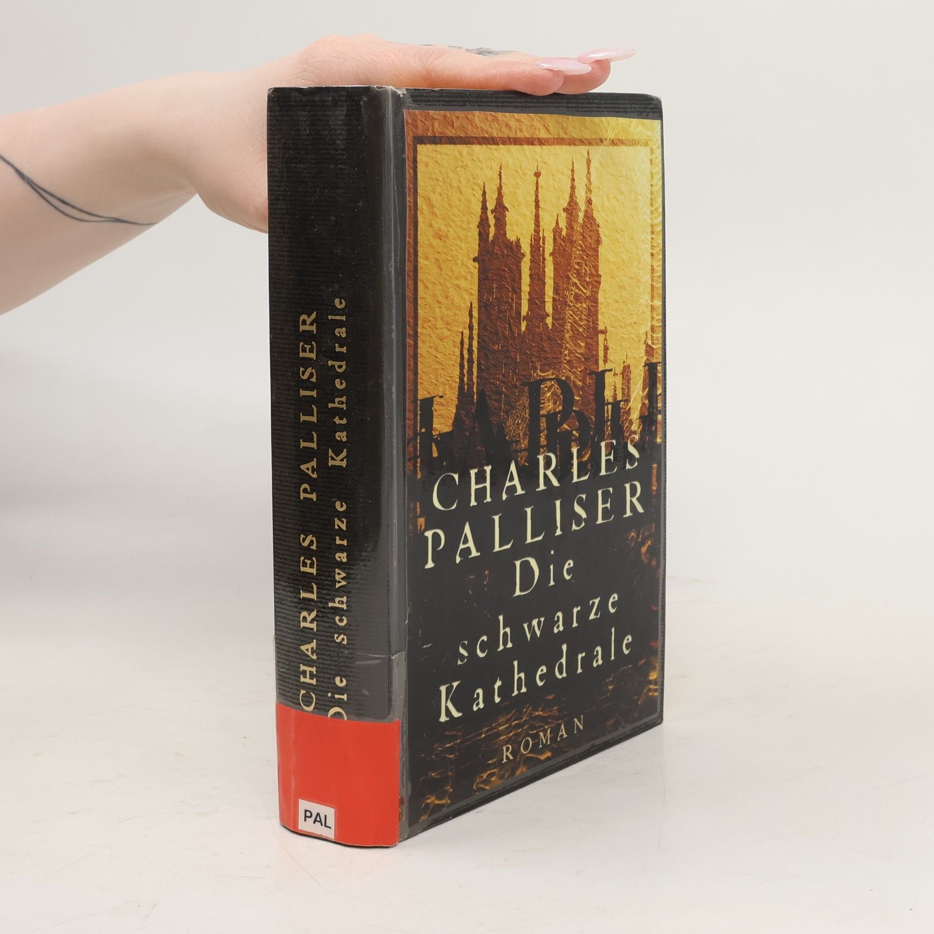 Charles Palliser Die schwarze Kathedrale
