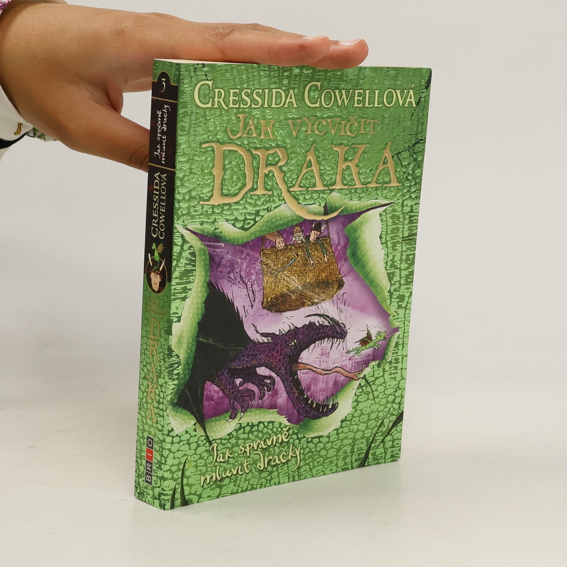 Cressida Cowell Jak správně mluvit dracky
