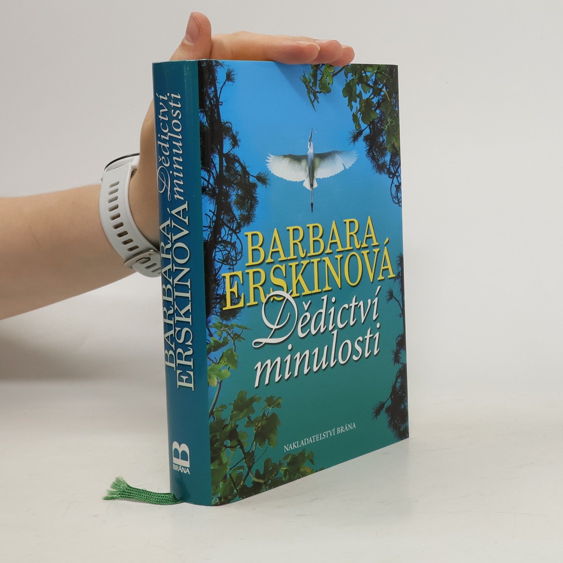 Barbara Erskine Dědictví minulosti