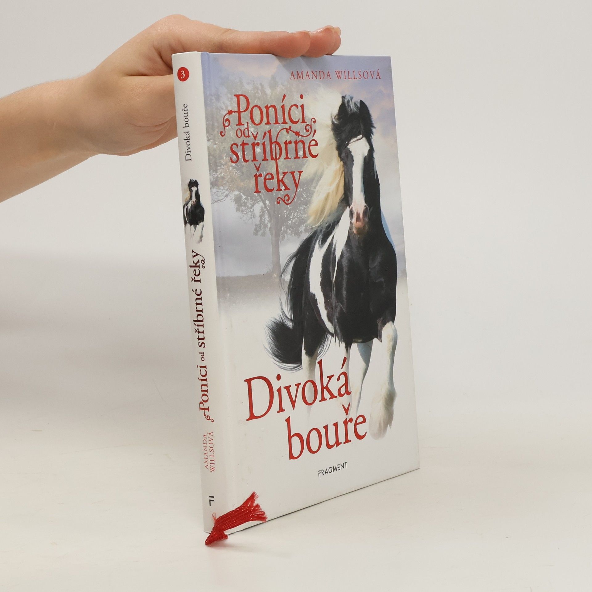 Amanda Wills Divoká bouře