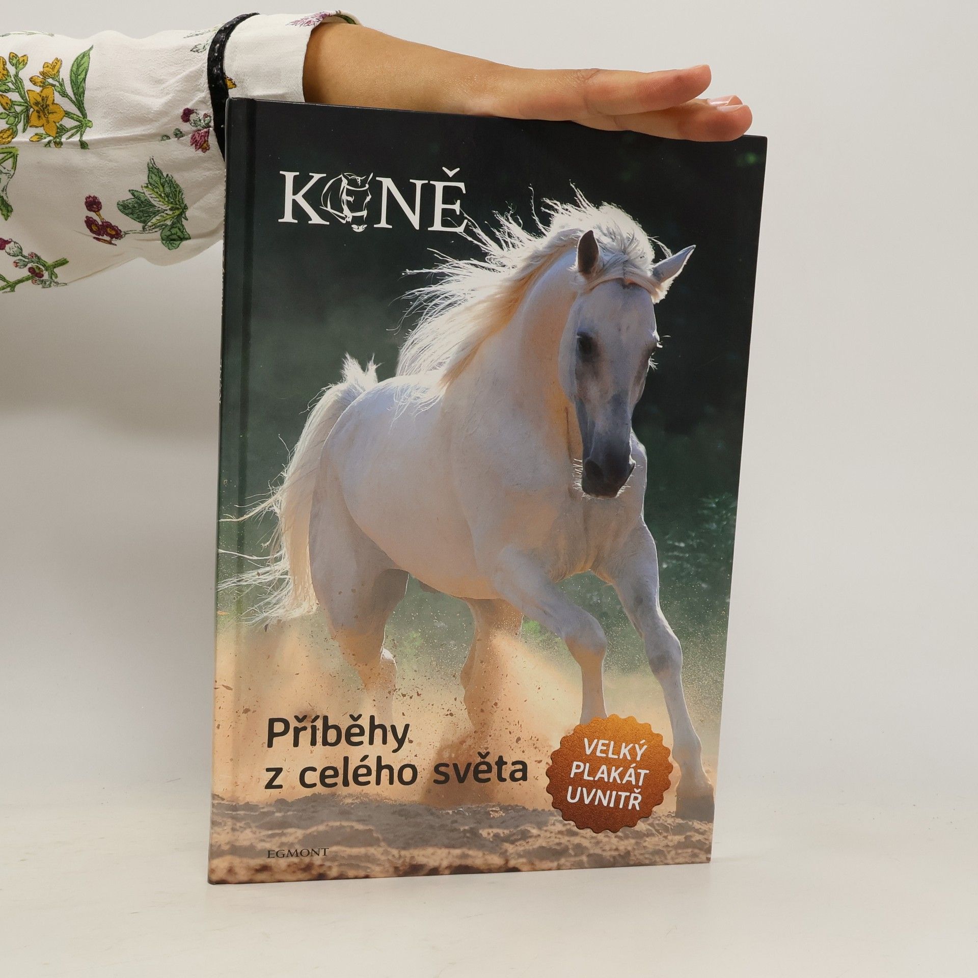 Collectif d'auteurs Koně : příběhy z celého světa