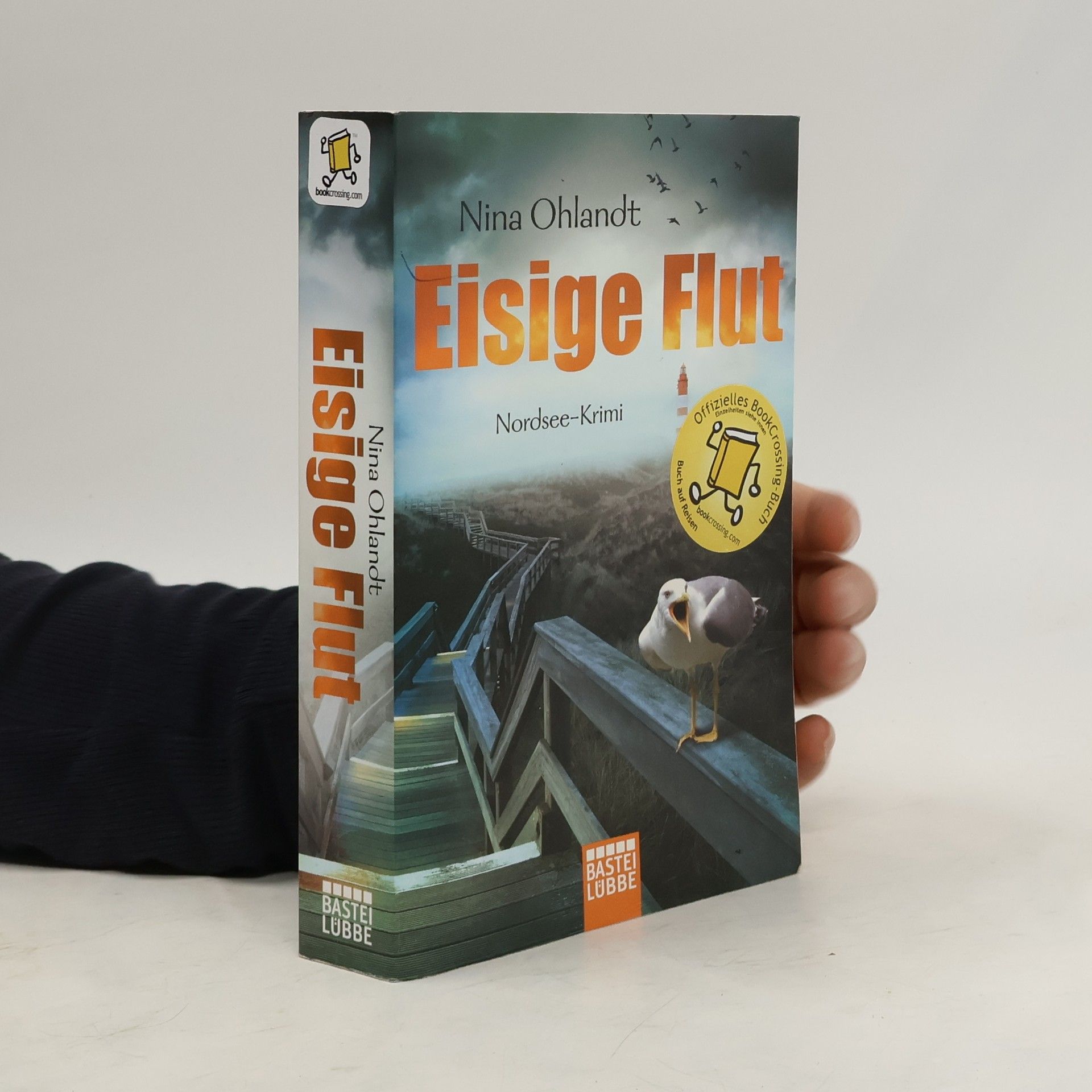 Nina Ohlandt Eisige Flut