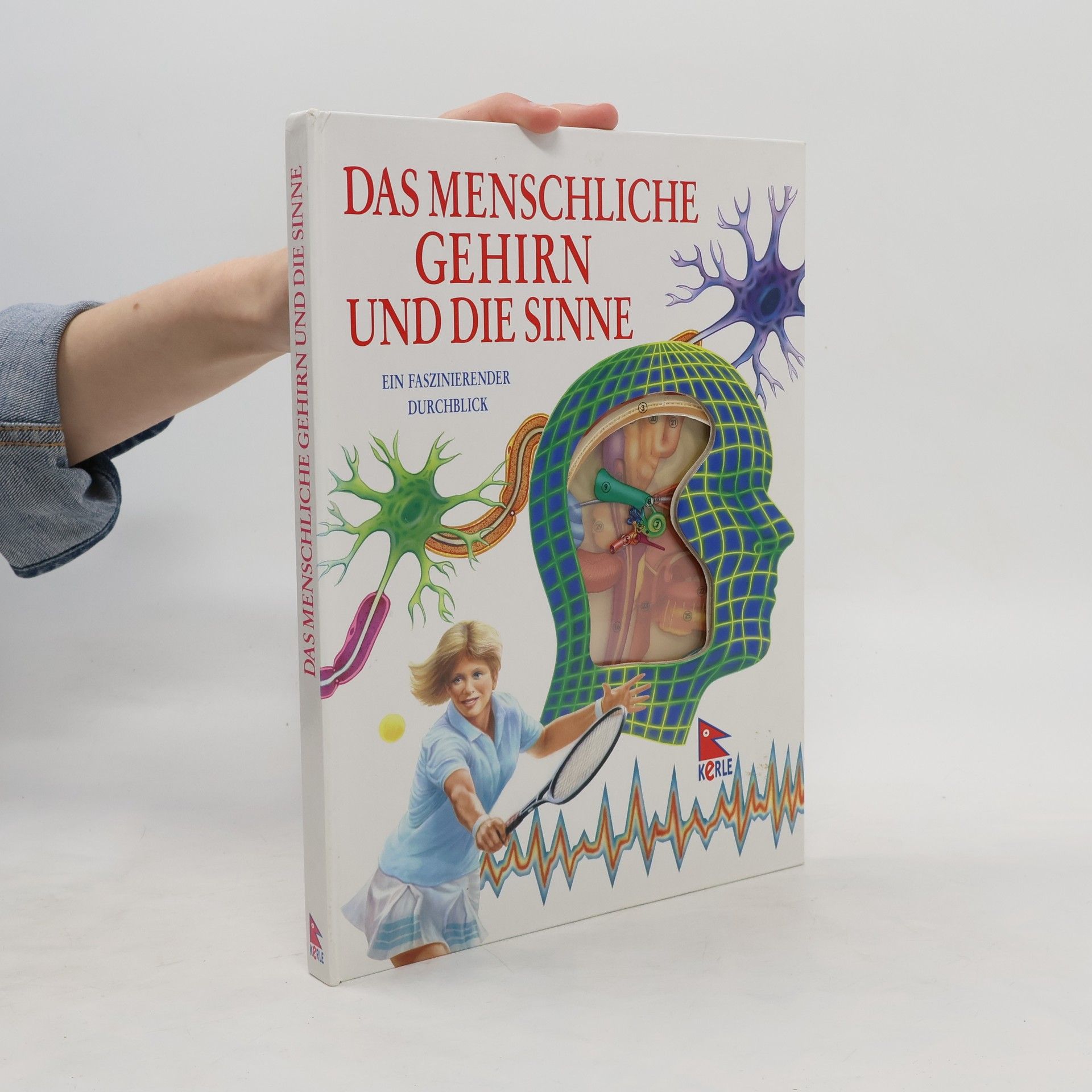 Jenny Bryan Das menschliche Gehirn und seine Sinne