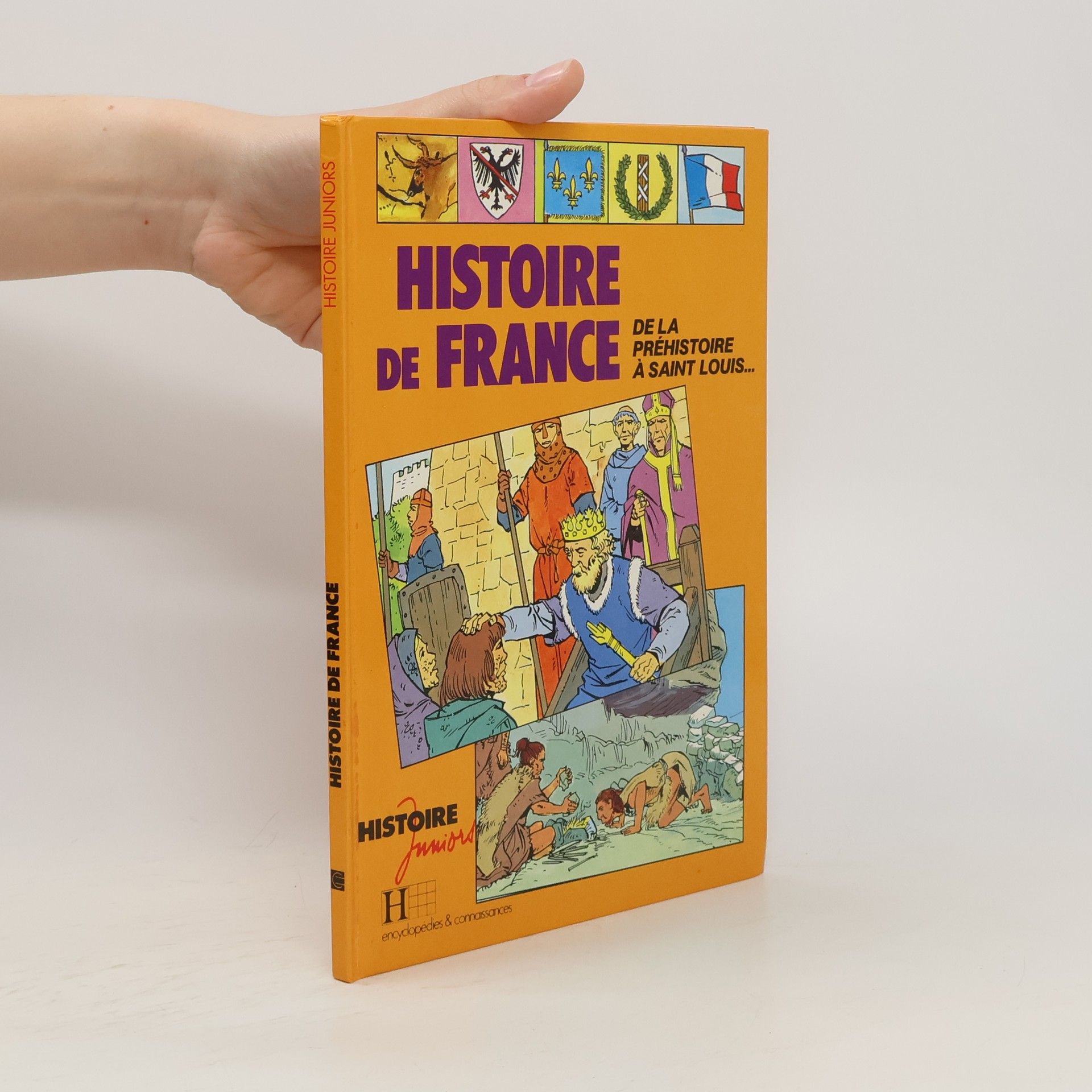 Claude Gauvard Histoire de France