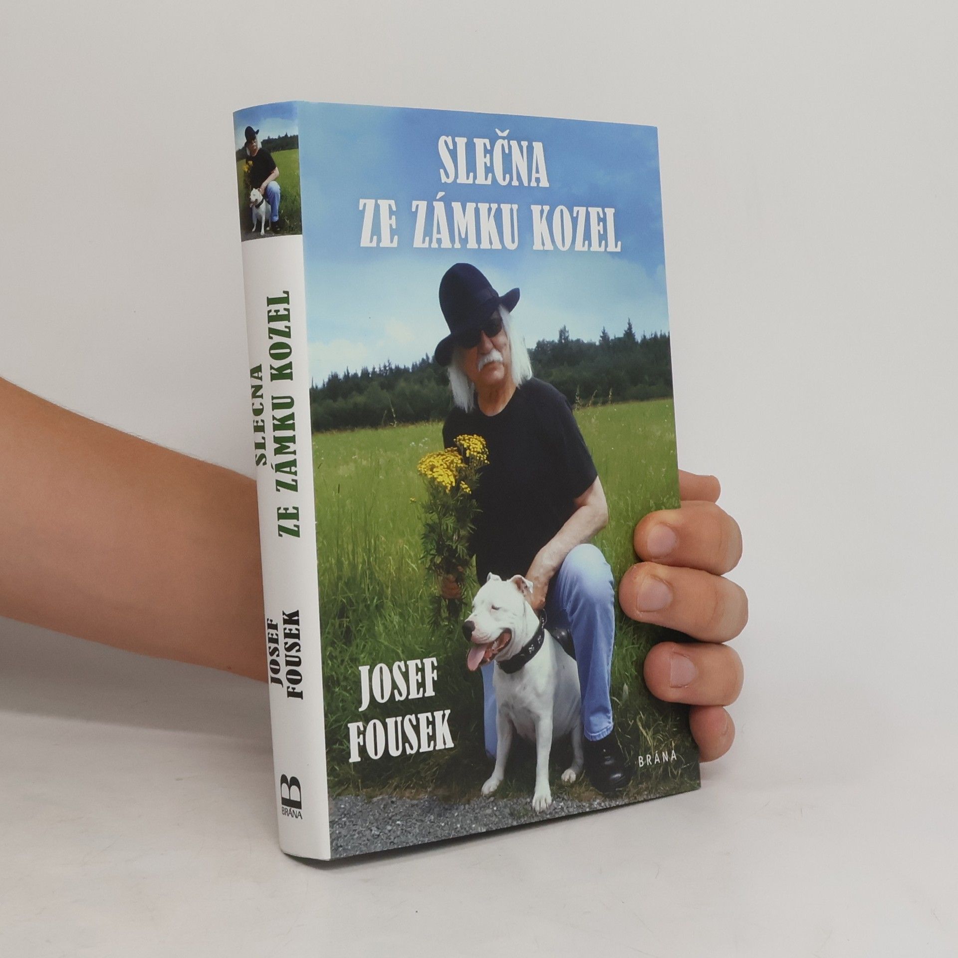 Josef Fousek Slečna ze zámku Kozel
