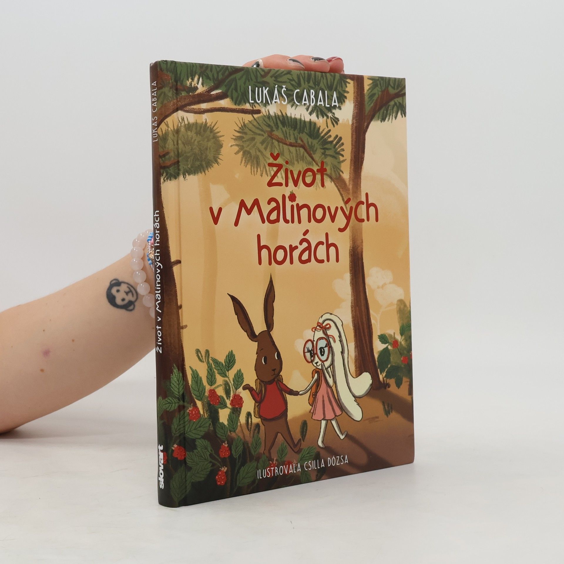 Život v Malinových horách