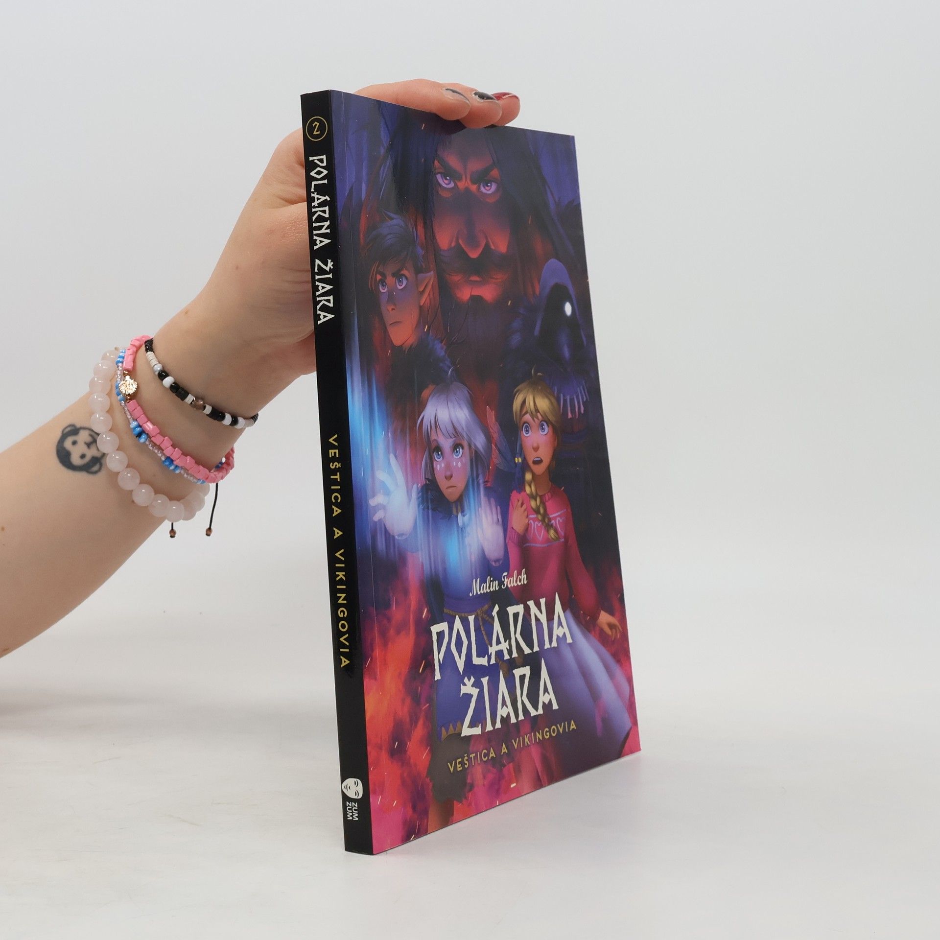 Malin Falch Polárna žiara. Veštica a vikingovia