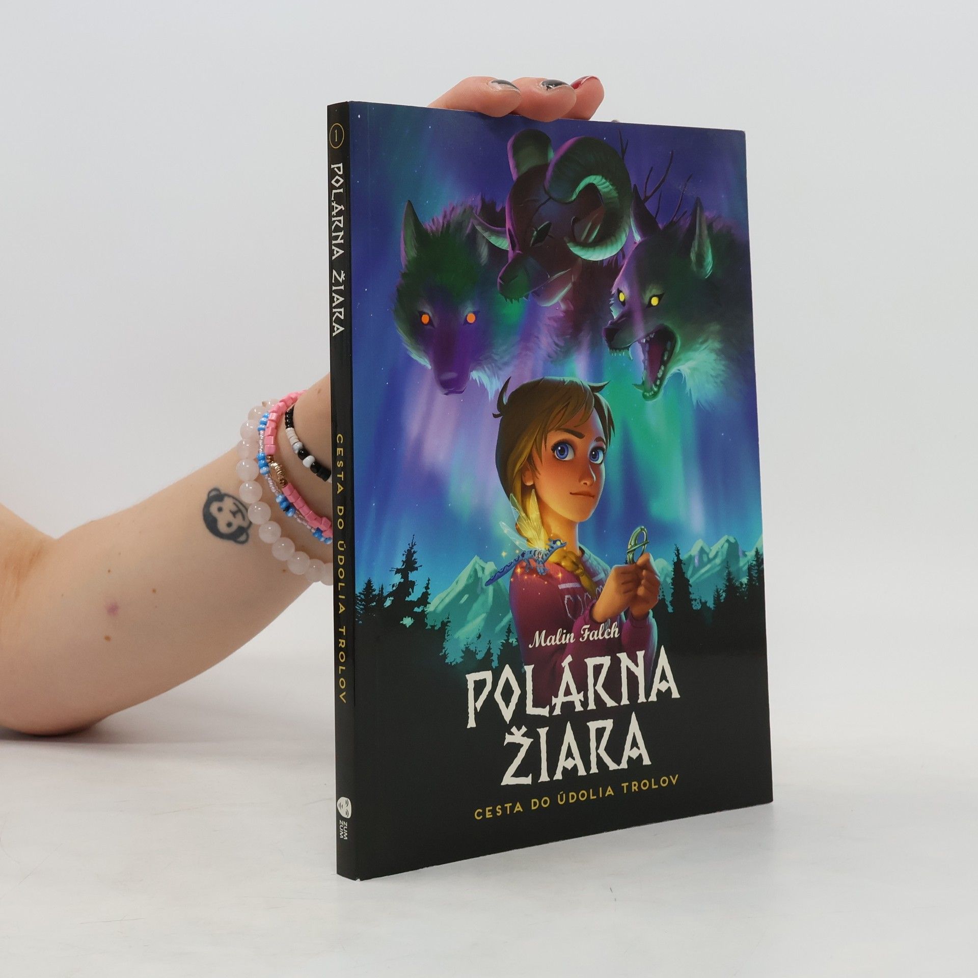 Malin Falch Polárna žiara. Cesta do údolia trolov