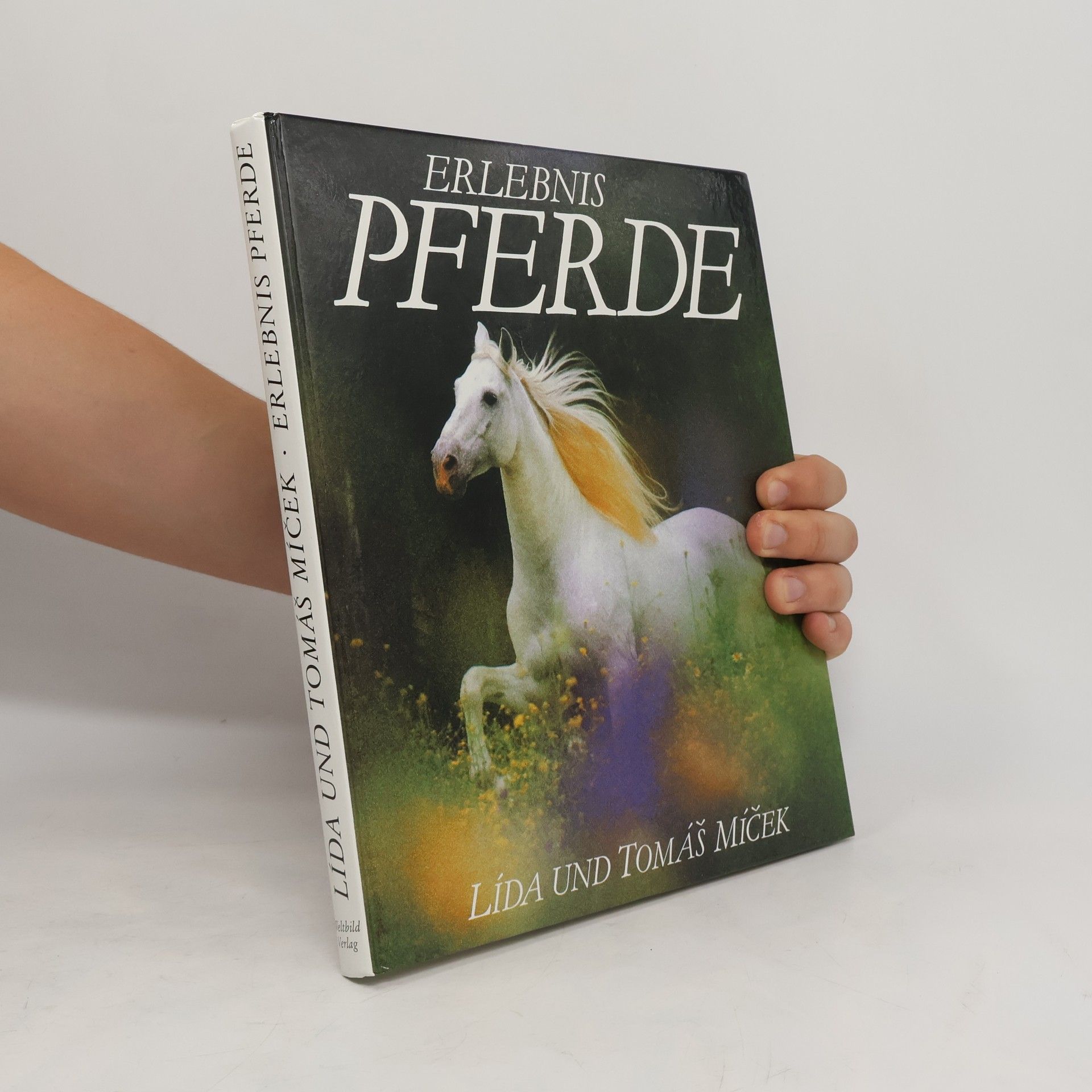 Tomáš Míček Erlebnis Pferde