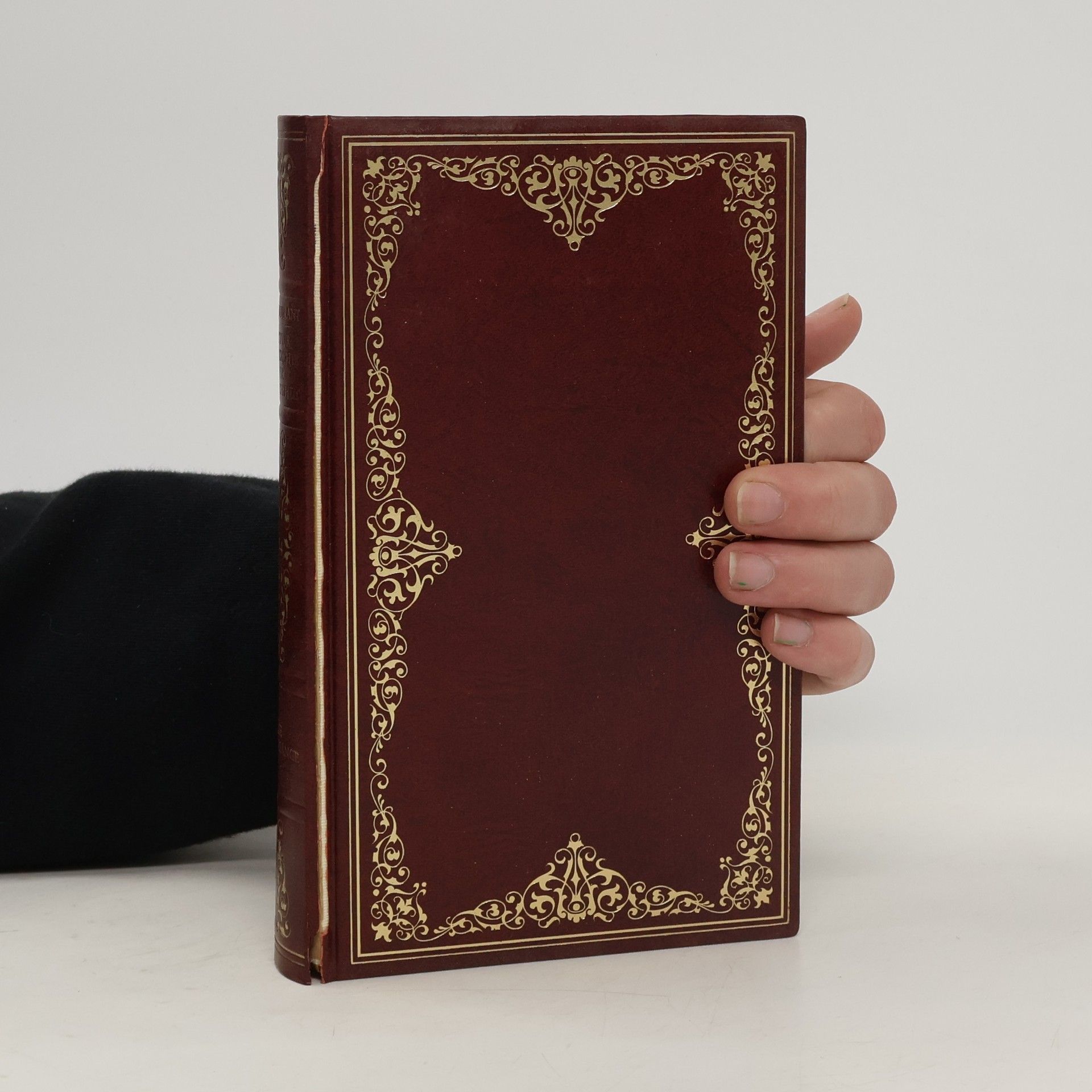 Will Durant Vorspiel. Die Renaissance in Florenz. Italienisches Panorama I.