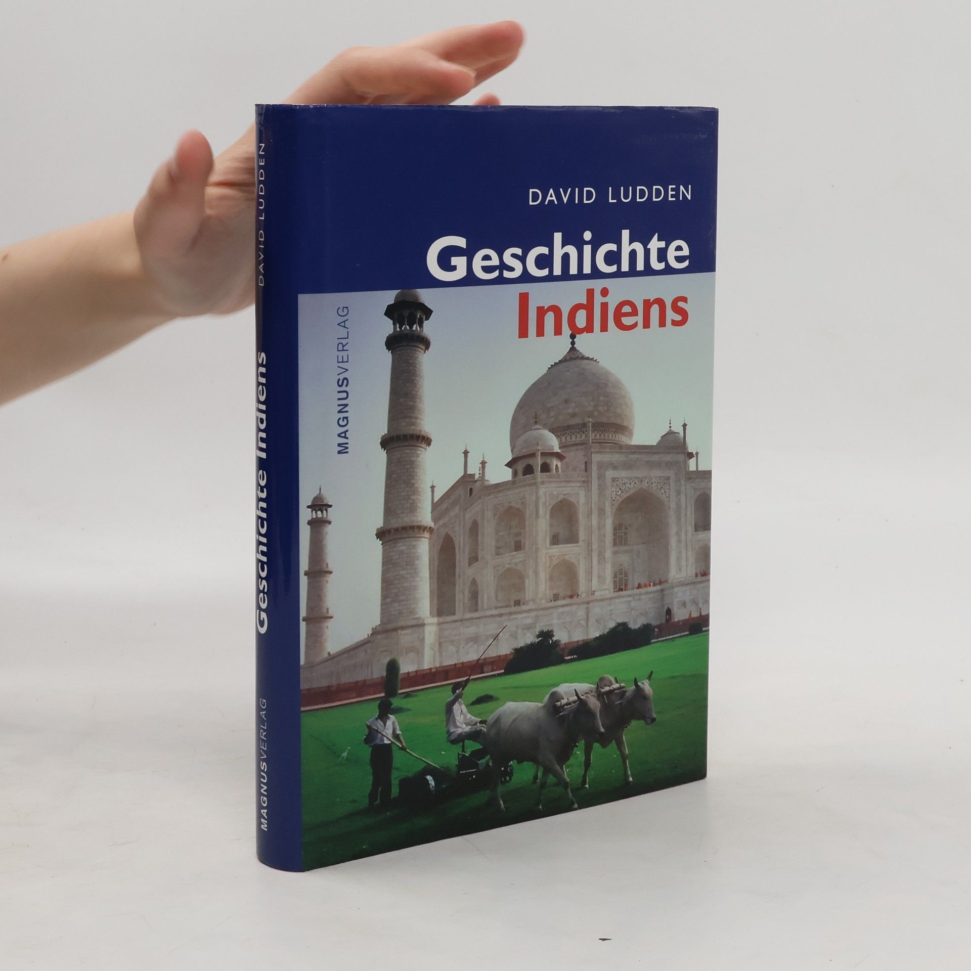 David Ludden Geschichte Indiens