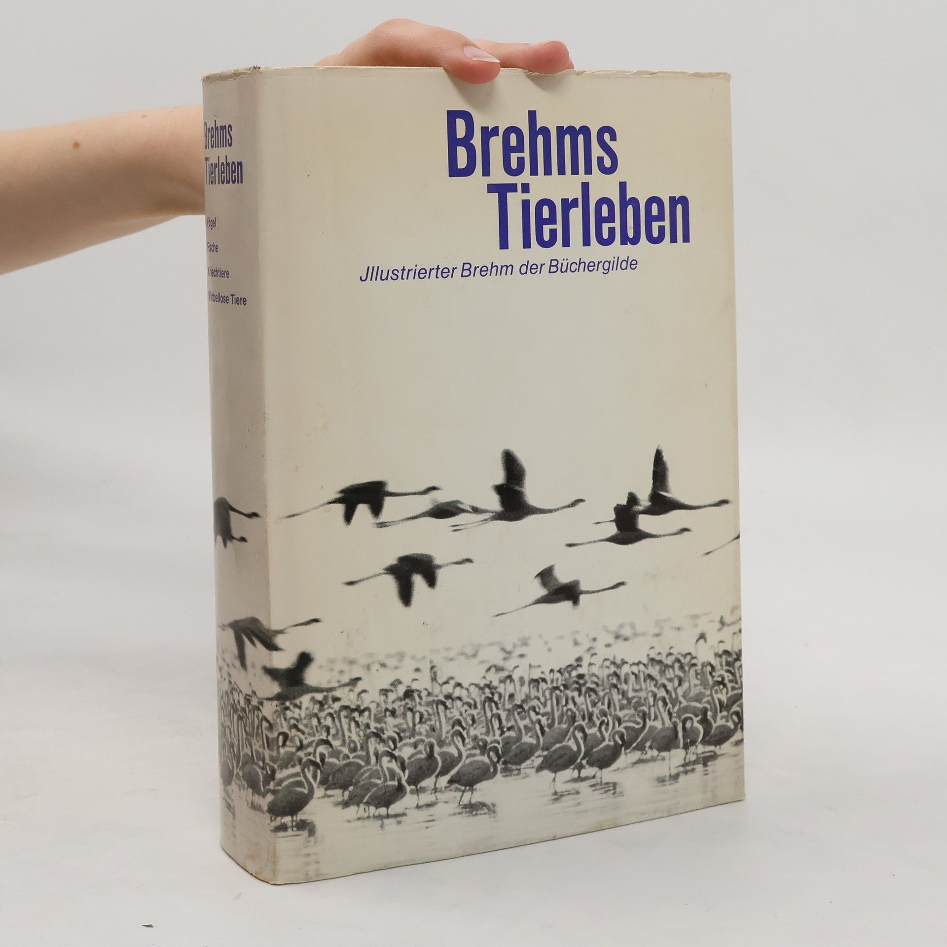 Alfred Edmund Brehm Brehms Tierleben