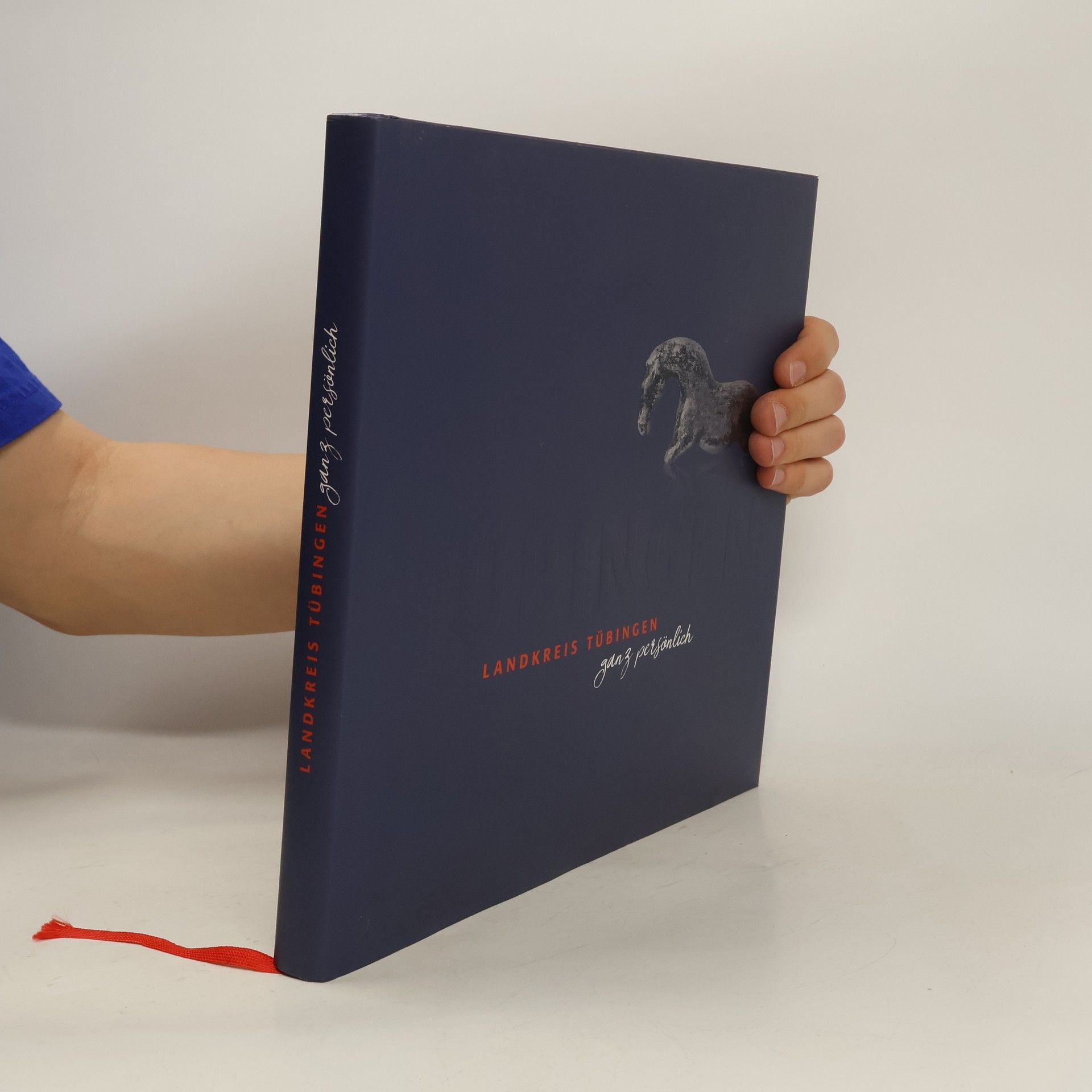 Autorenkollektiv Landkreis Tübingen ganz persönlich