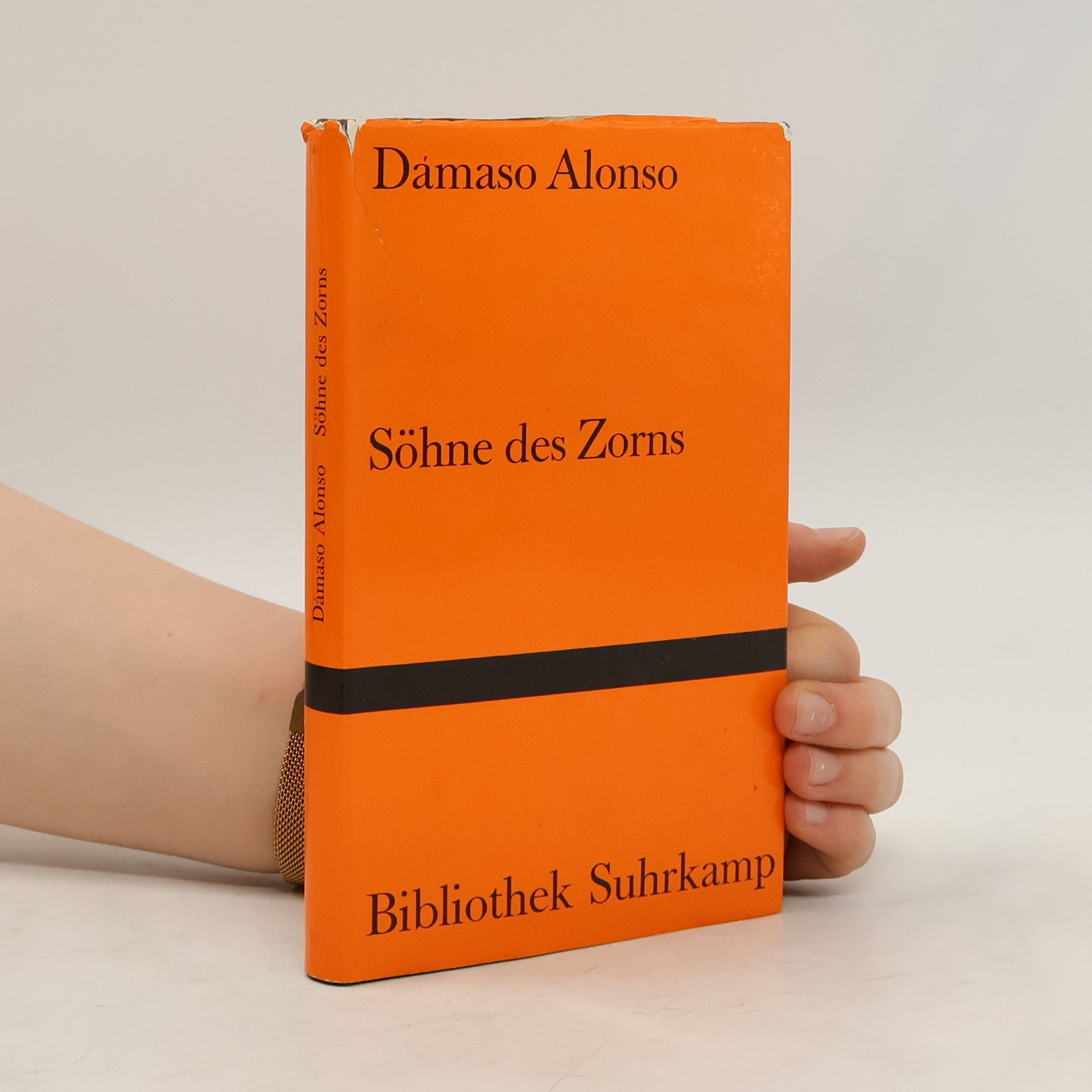 Dámaso Alonso Söhne des Zorns