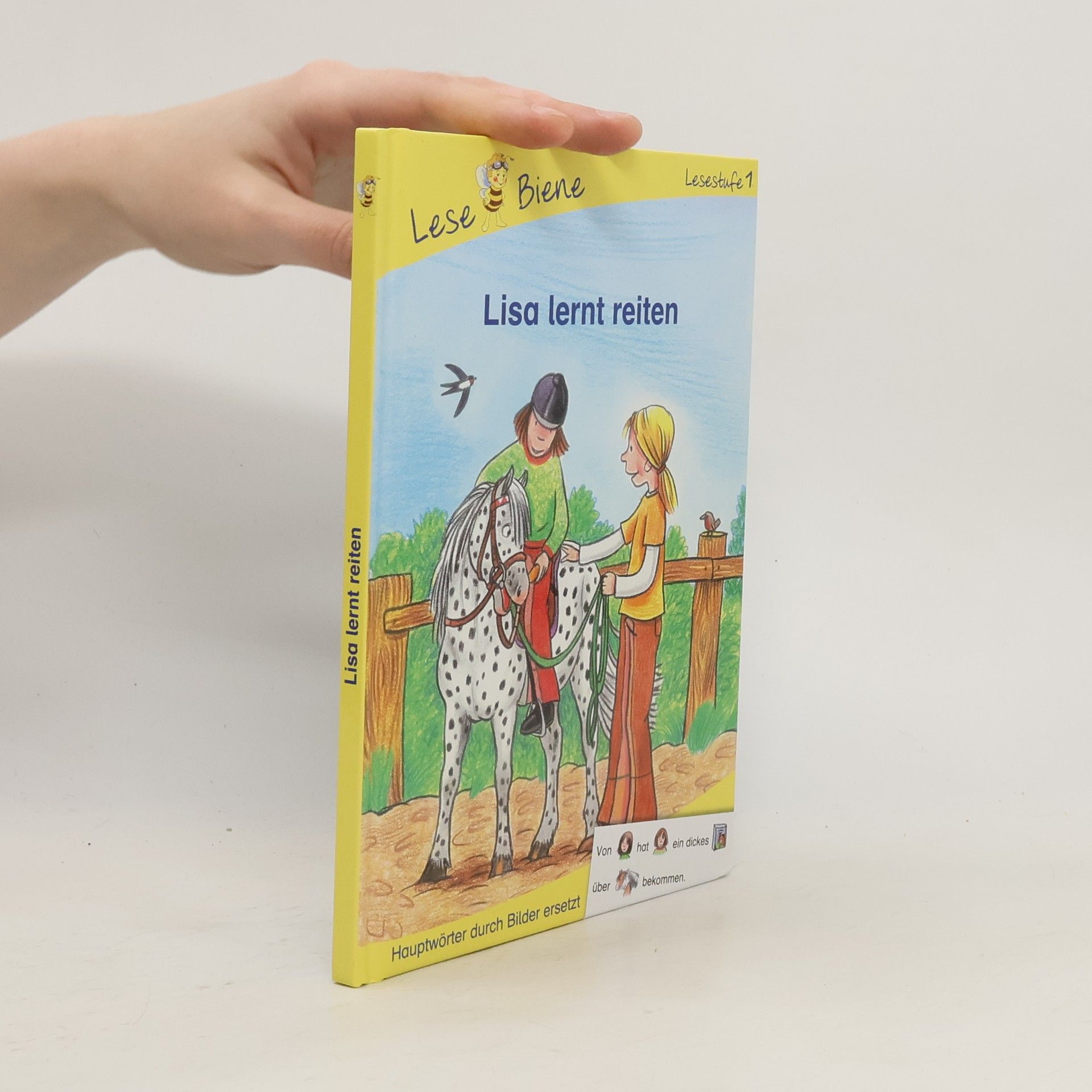 Autorenkollektiv Lisa Lernt Reiten