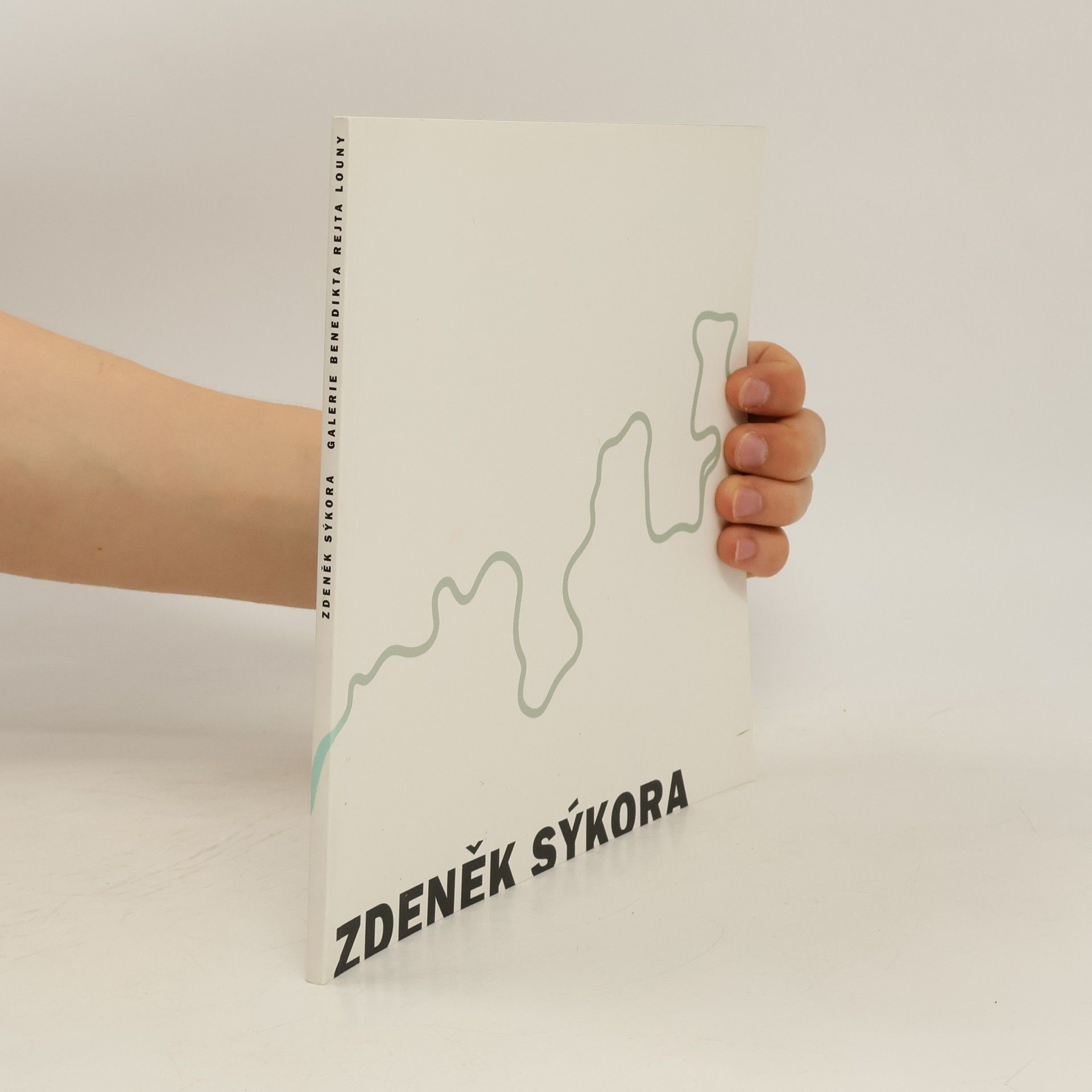 Collectif d'auteurs Zdeněk Sýkora