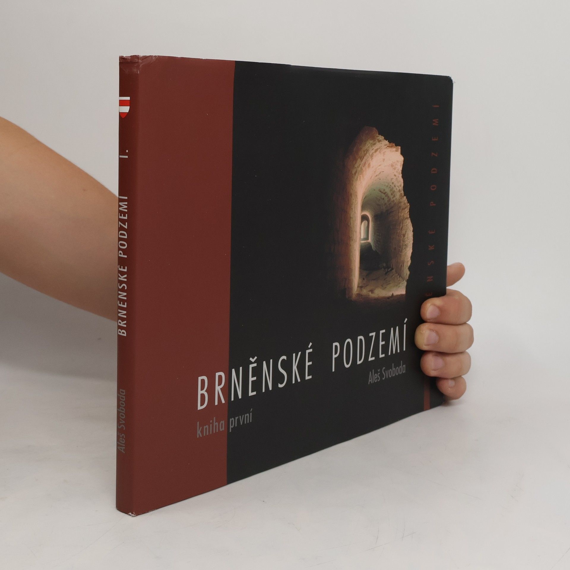 Aleš Svoboda Brněnské podzemí - Kniha první
