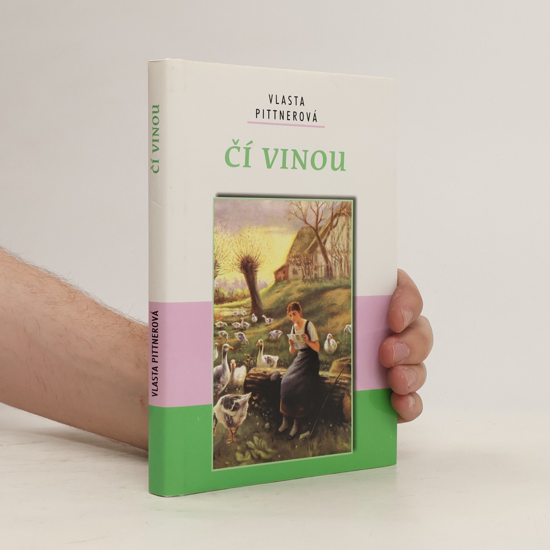 Vlasta Pittnerová Čí vinou