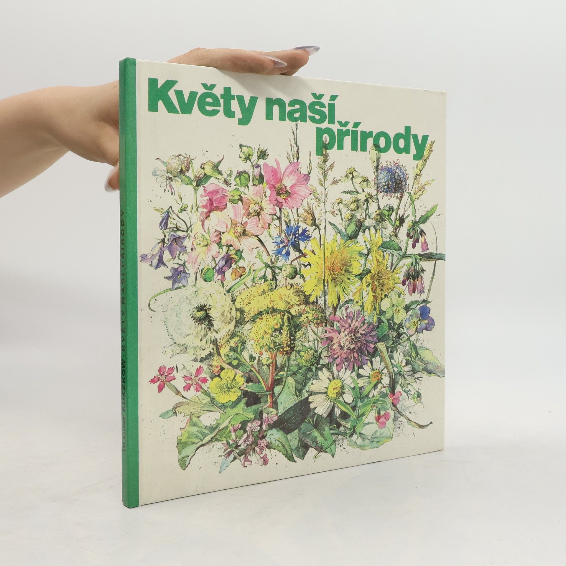 Regine Süsskow Květy naší přírody