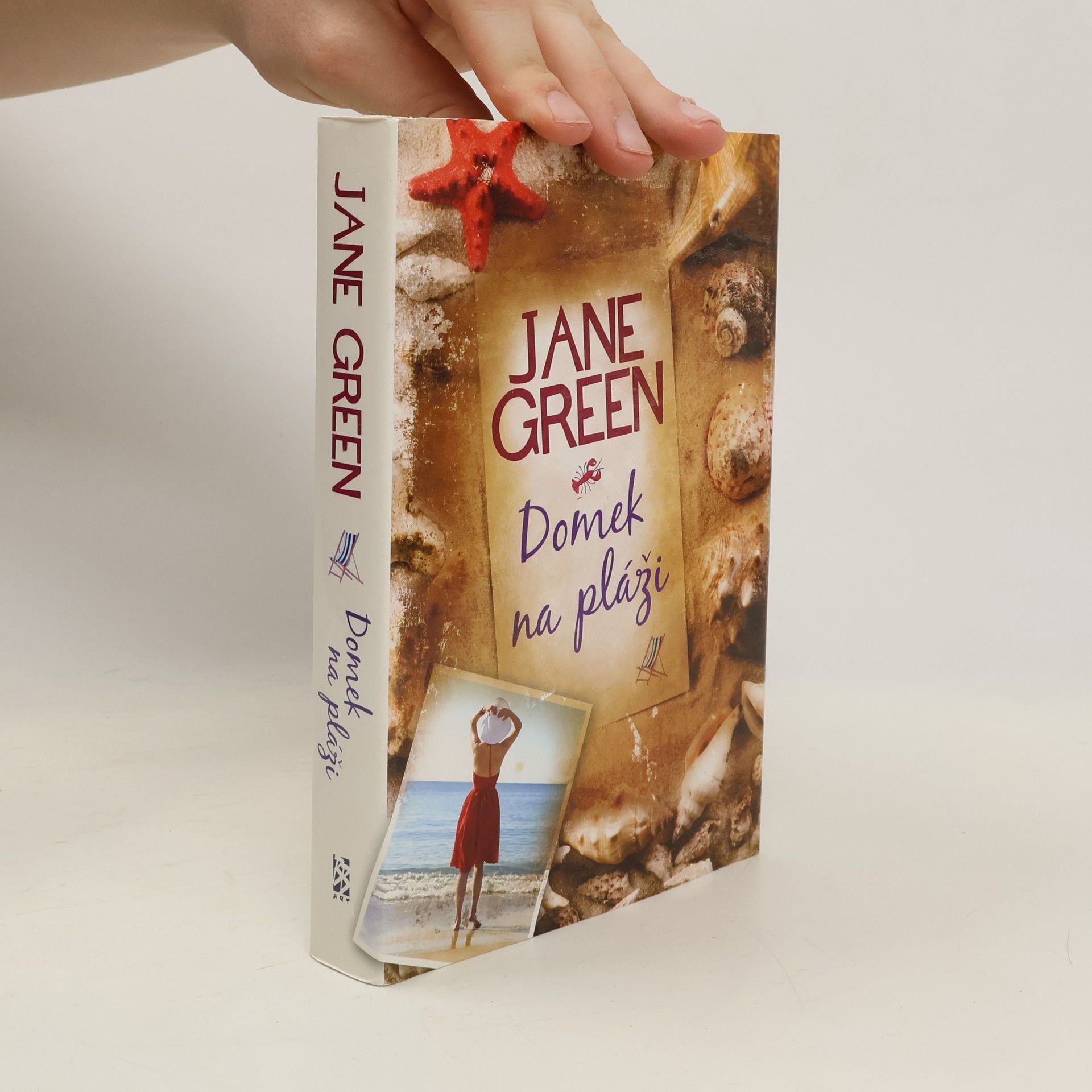 Jane Green Domek na pláži