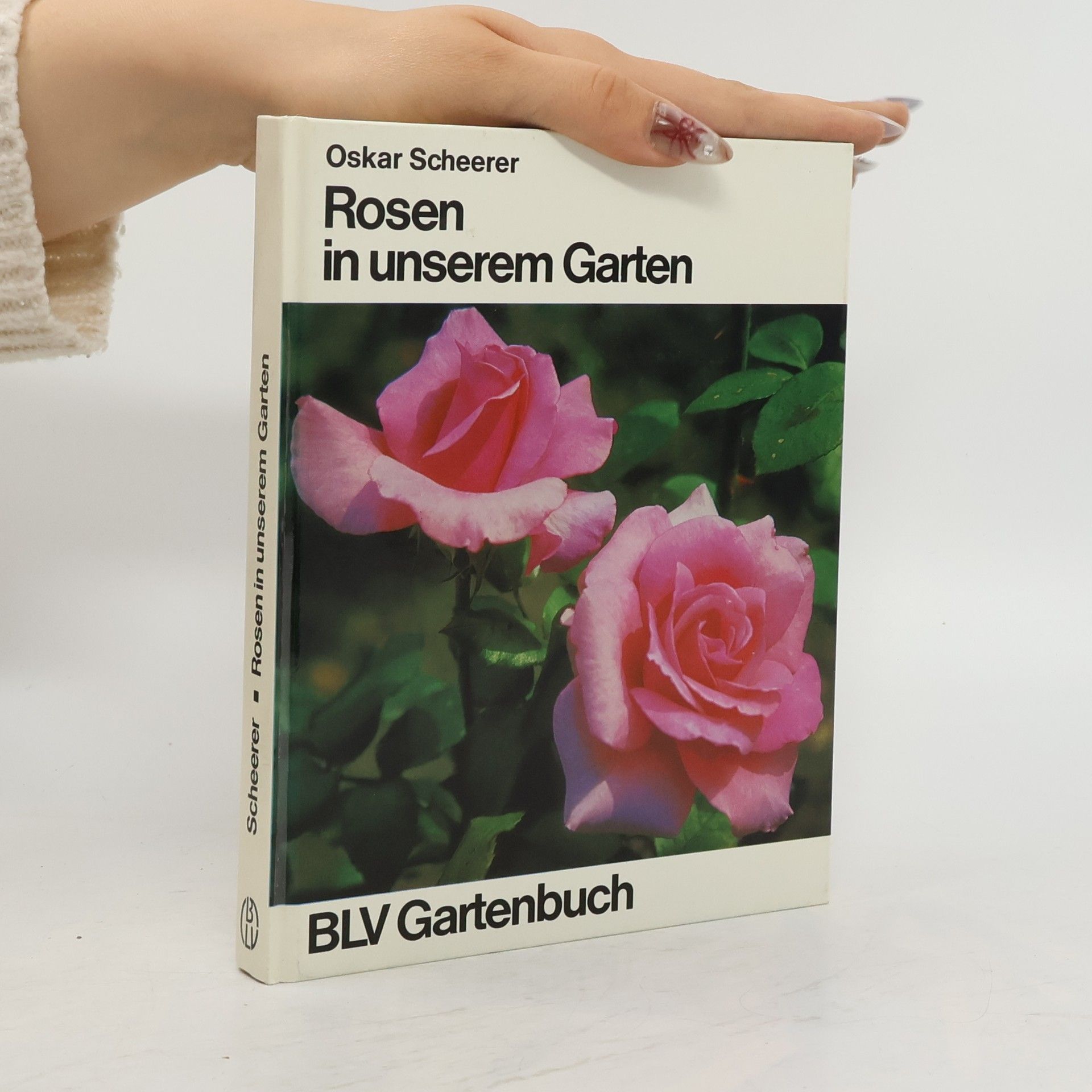 Oskar Scheerer Rosen in unserem Garten
