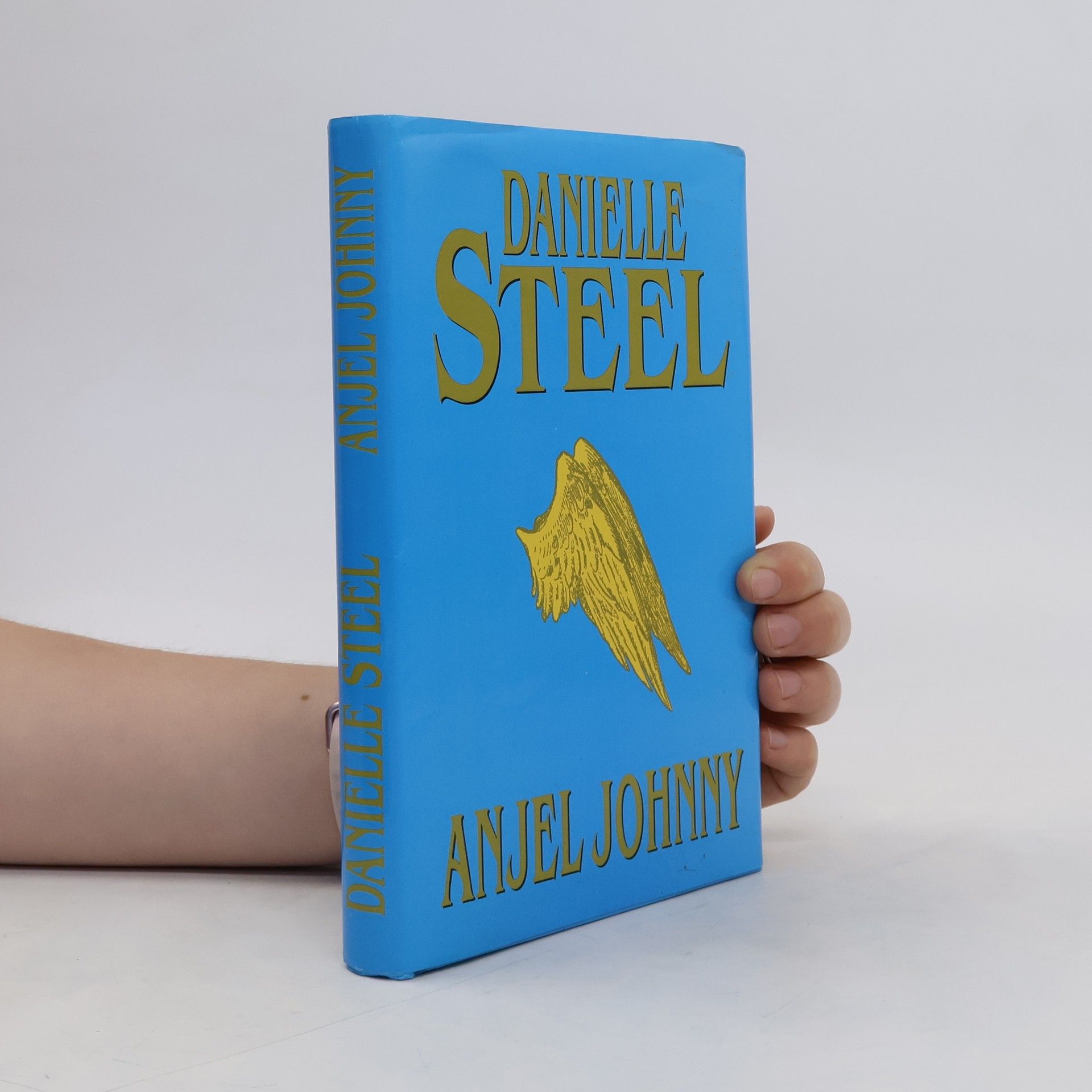 Danielle Steelová Anjel Johnny