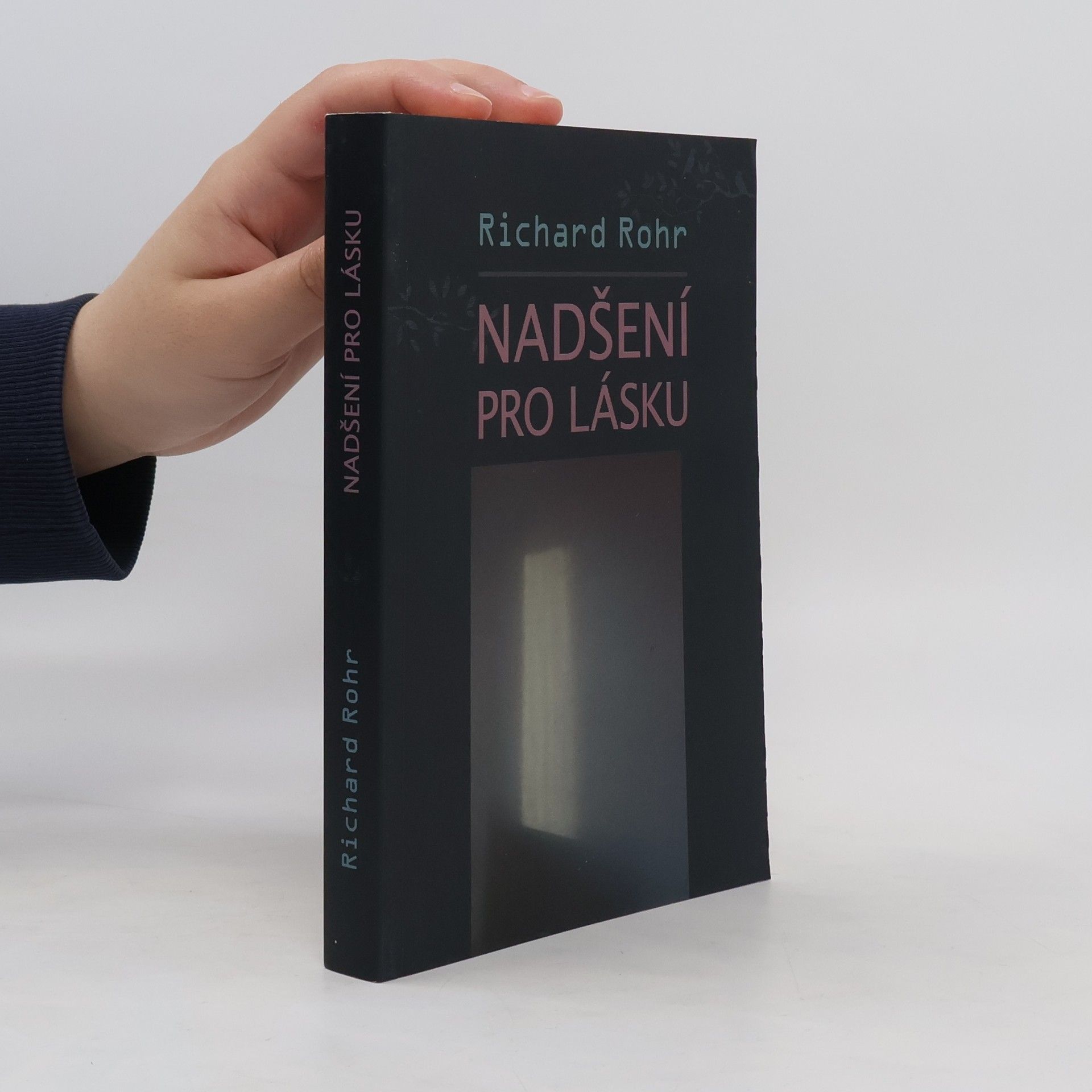Richard Rohr Nadšení pro lásku