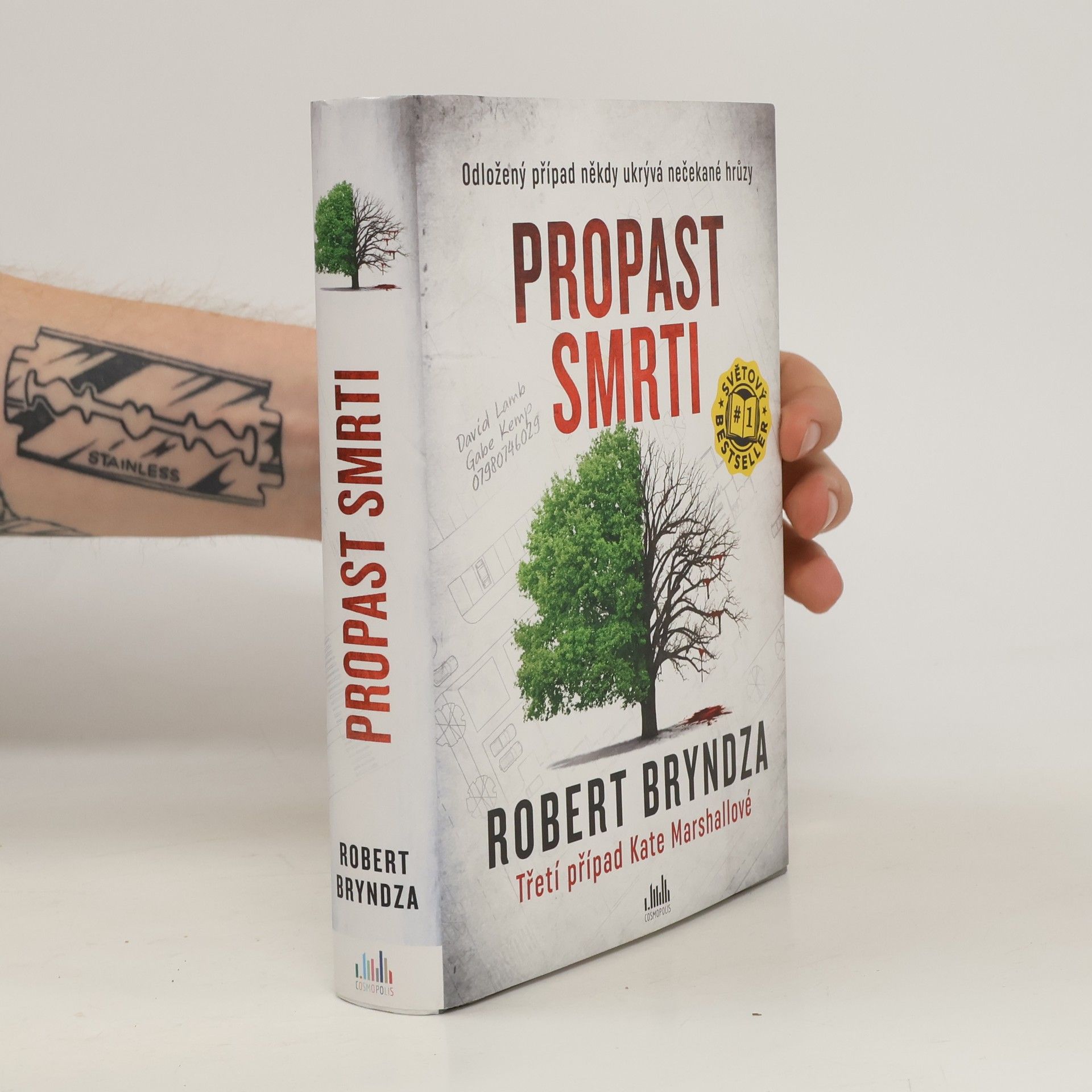 Robert Bryndza Propast smrti