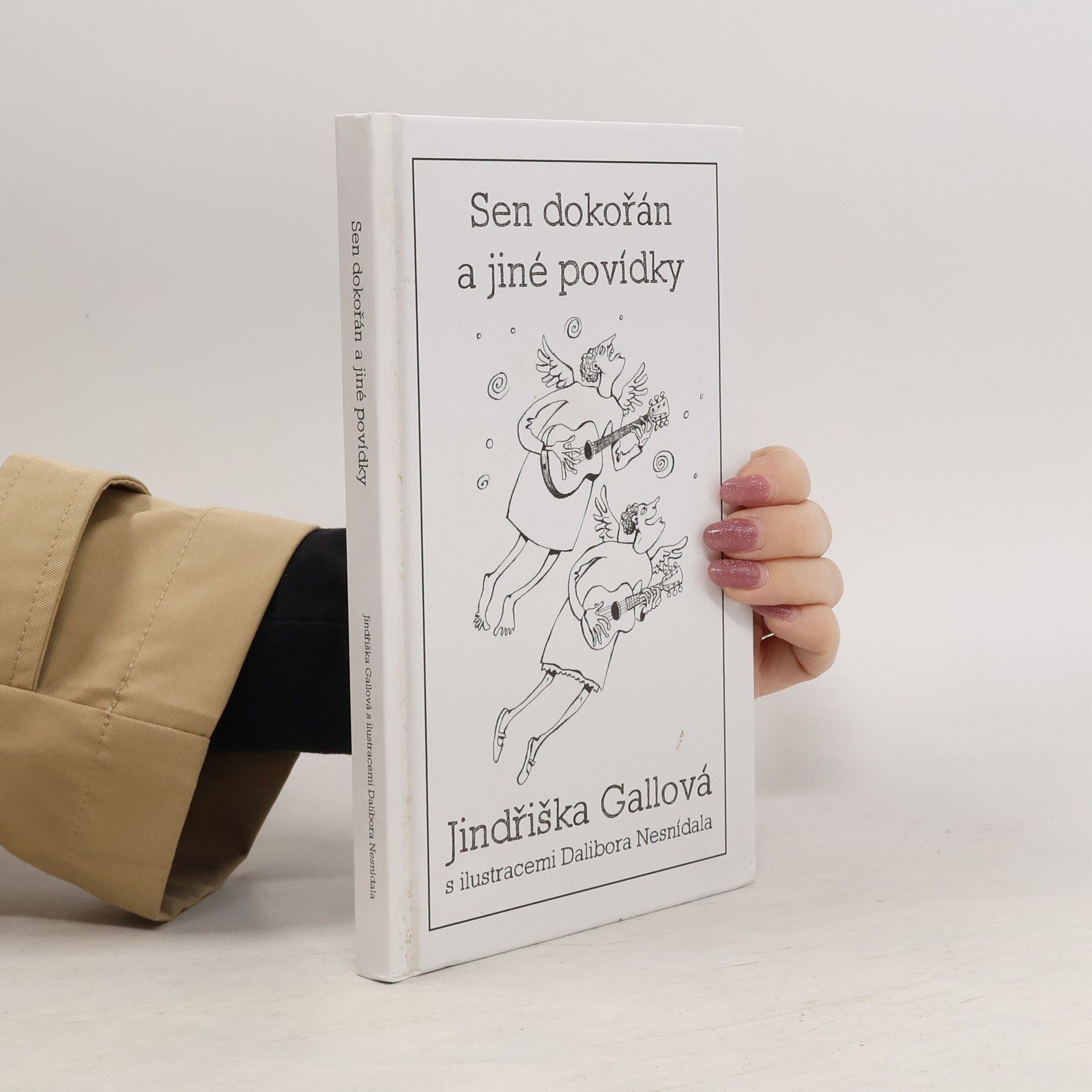 Jindřiška Gallová Sen dokořán a jiné povídky
