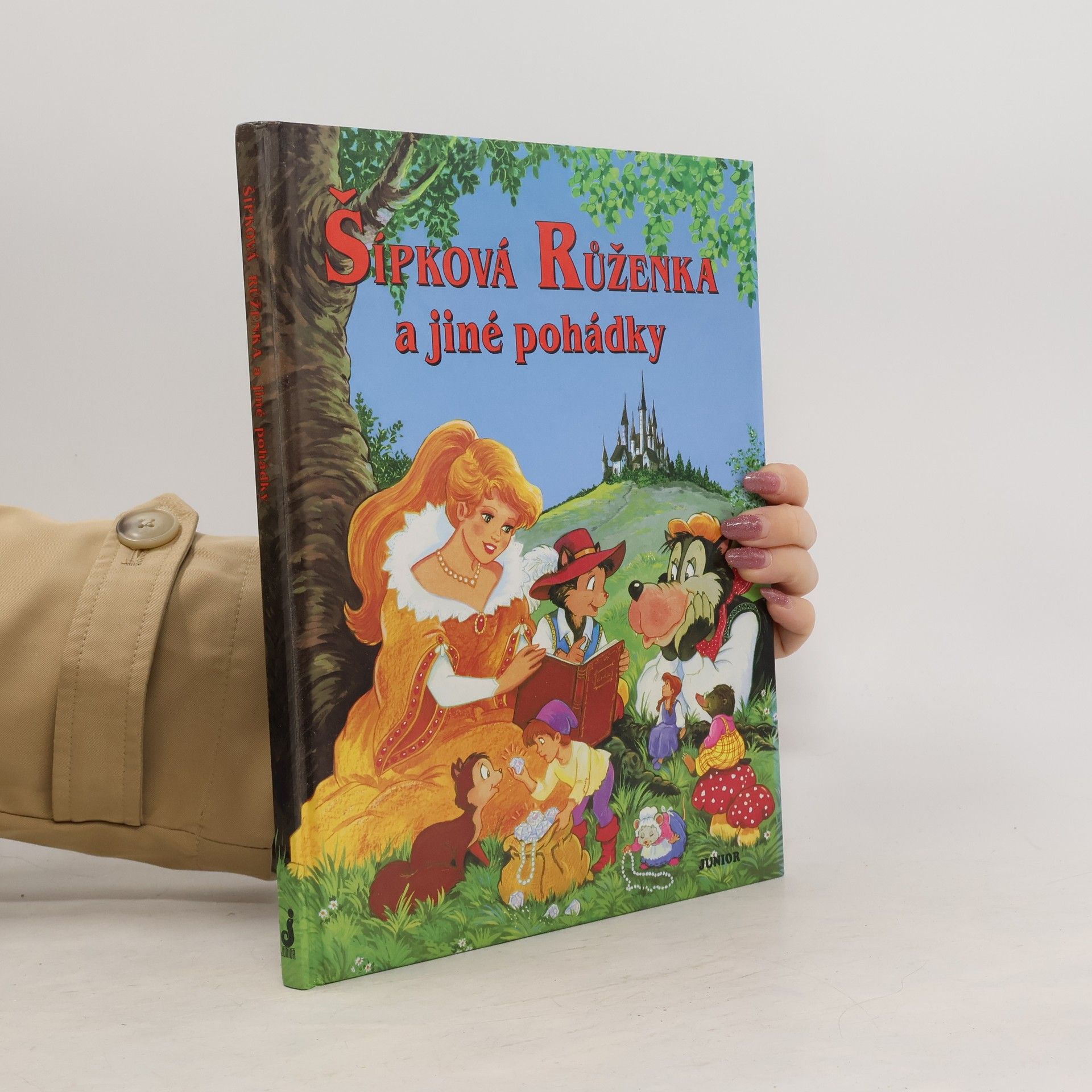 Alena Benešová Šípková Růženka a jiné pohádky