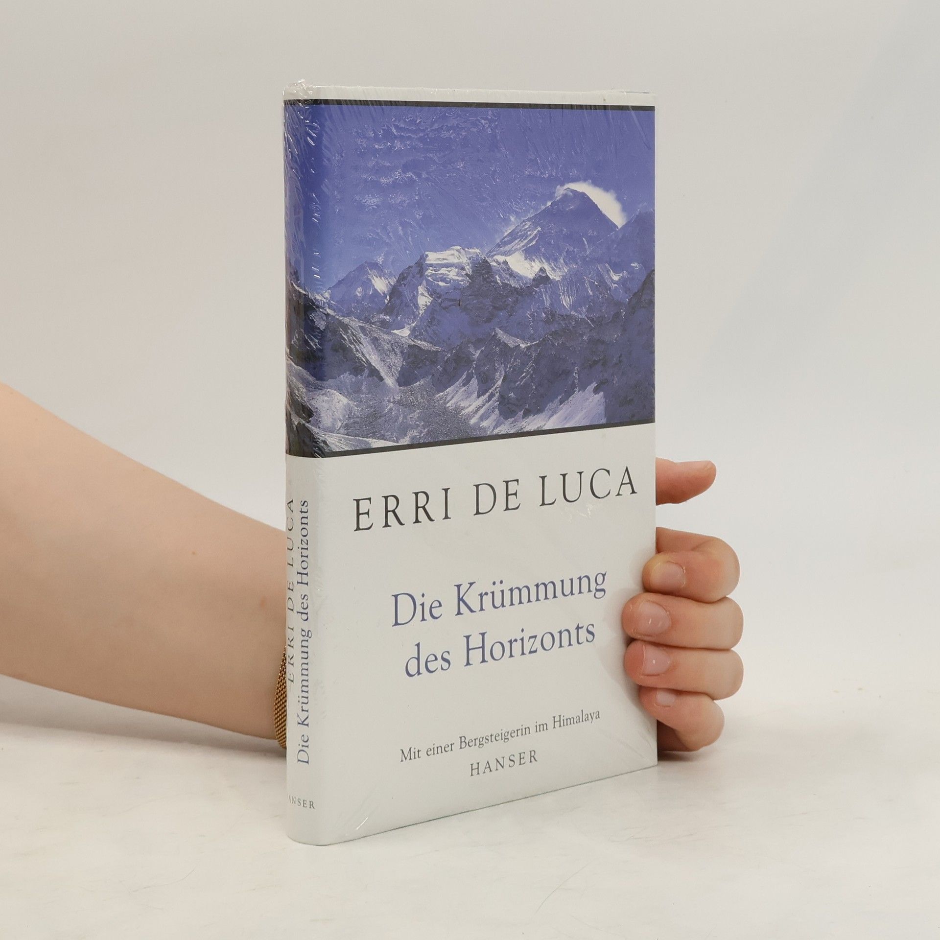 Erri De Luca Die Krümmung des Horizonts