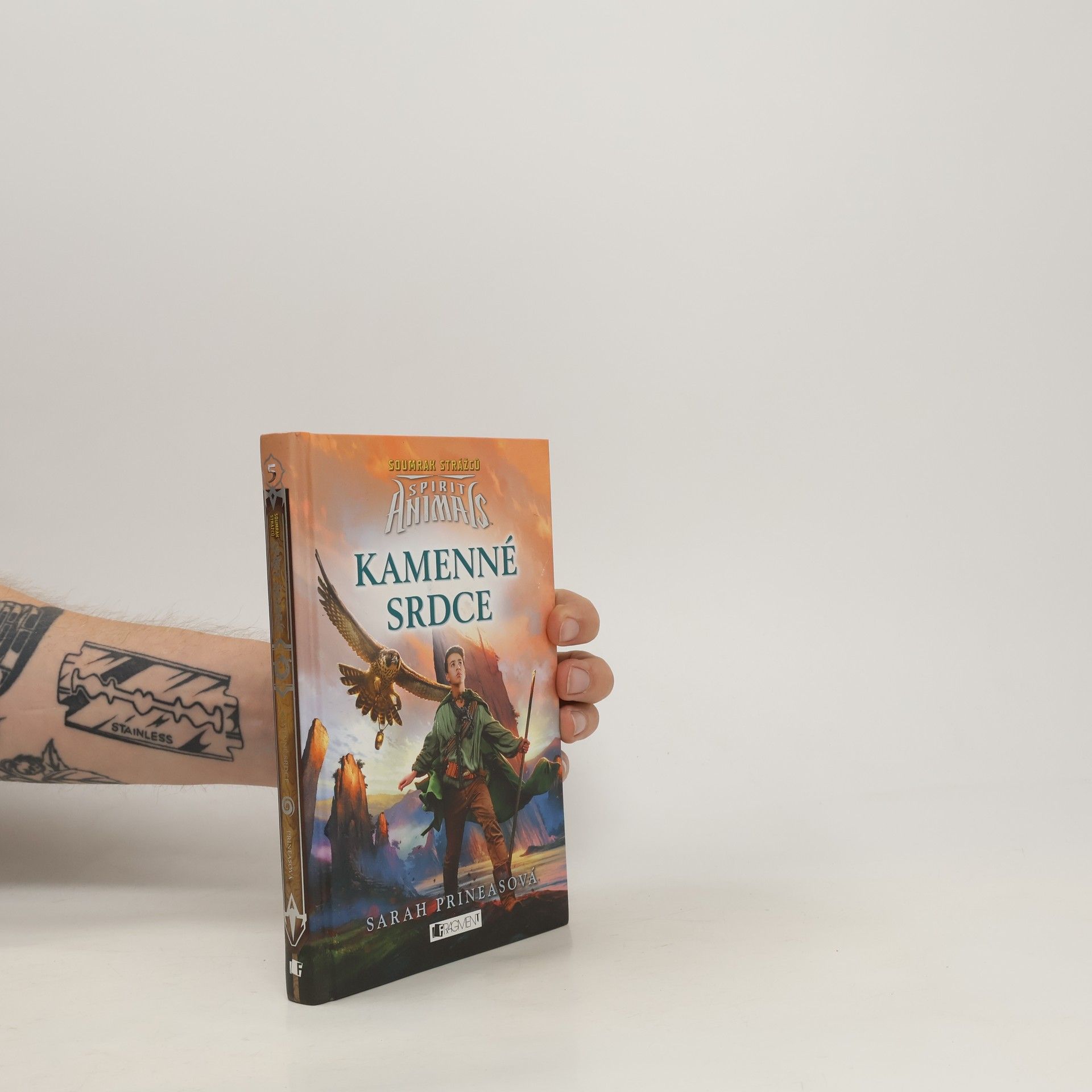 Sarah Prineas Kamenné srdce