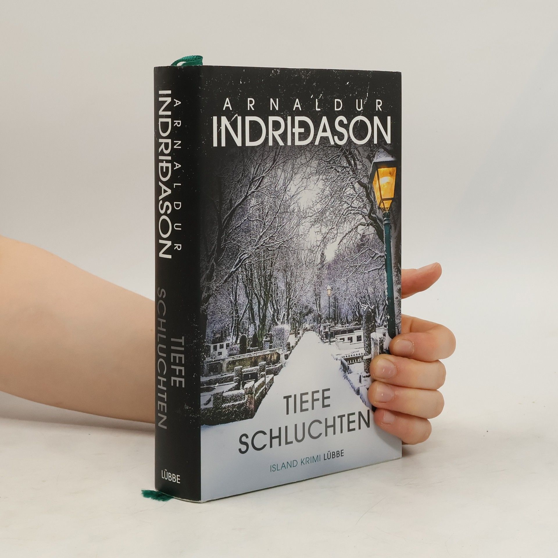 Arnaldur Indriðason Tiefe Schluchten