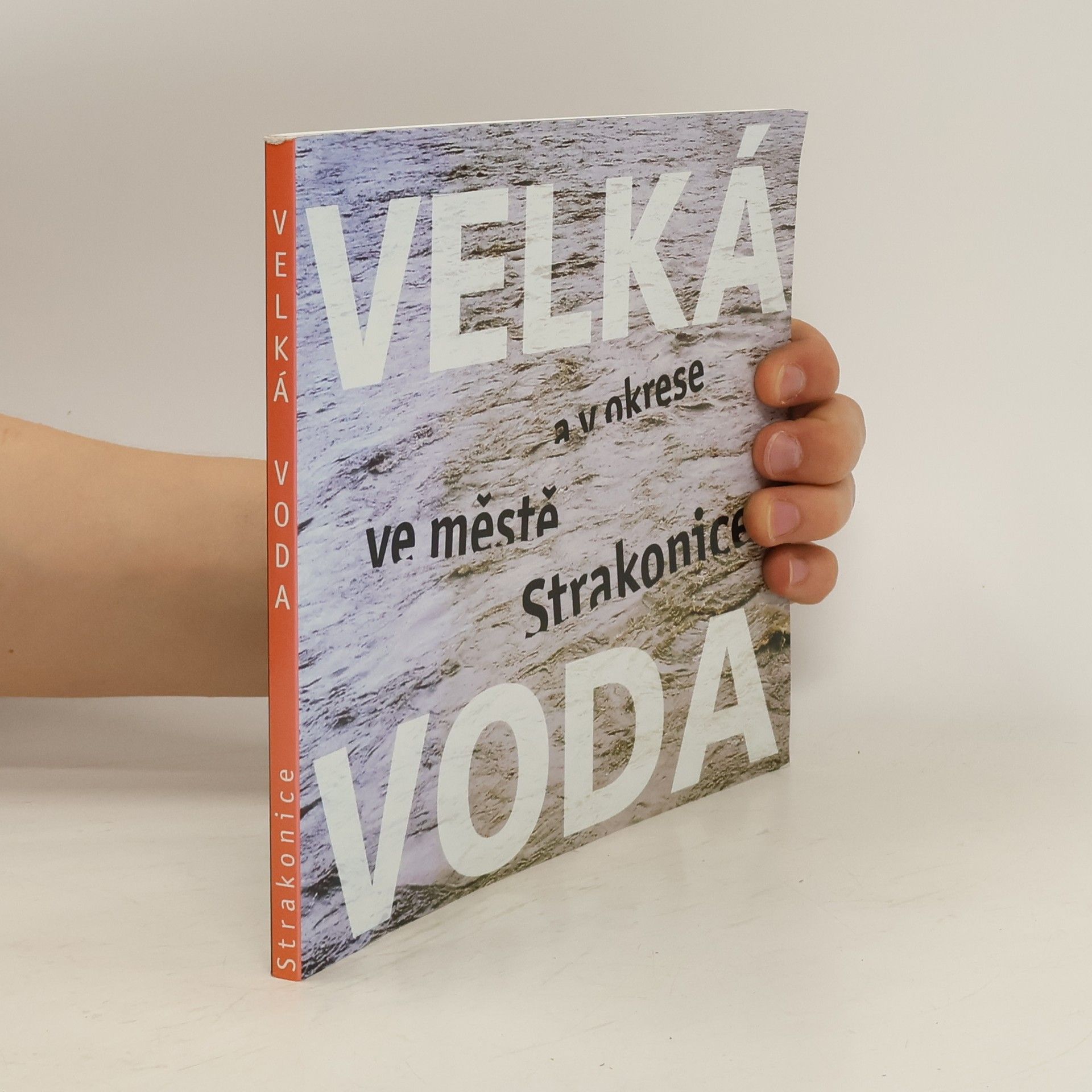 Jelena Hálová Velká voda ve městě a v okrese Strakonice