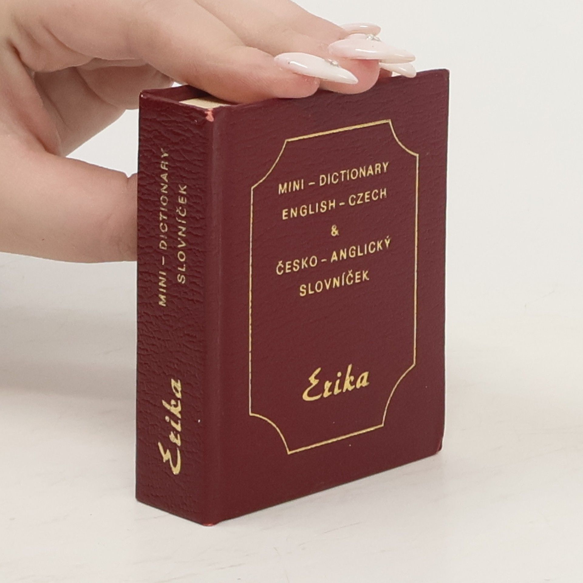 kolektiv Mini dictionary. English-Czech and Česko-anglický slovníček