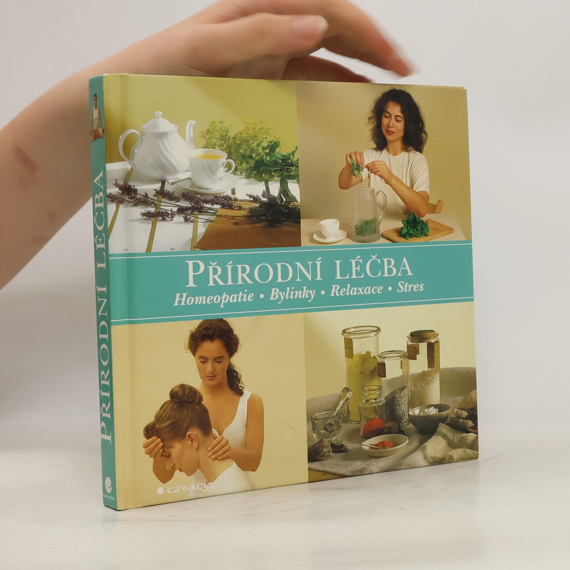 Sue Hawkey Přírodní léčba : homeopatie, bylinky, relaxace, stres