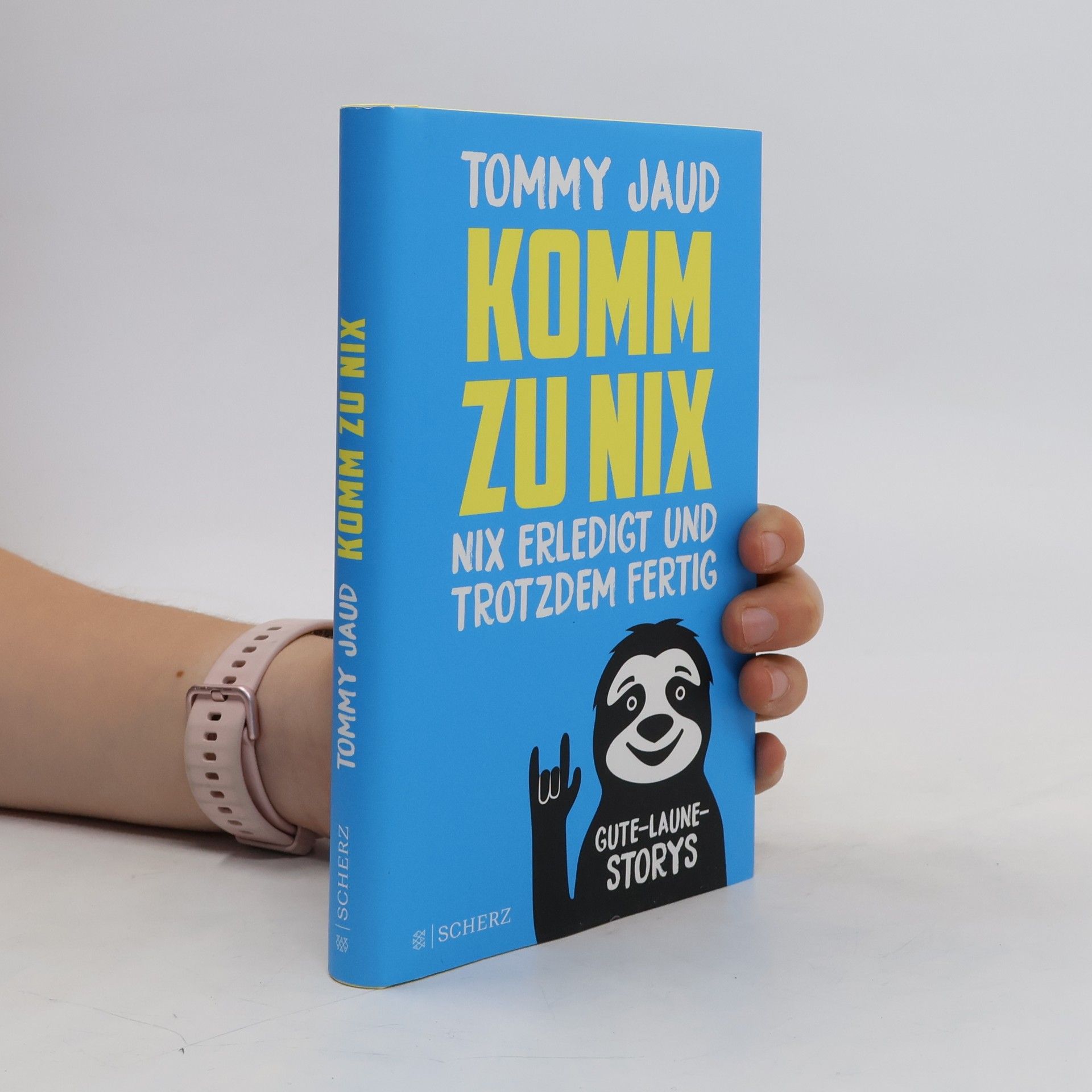 Tommy Jaud Komm zu nix. Nix erledigt und trotzdem fertig