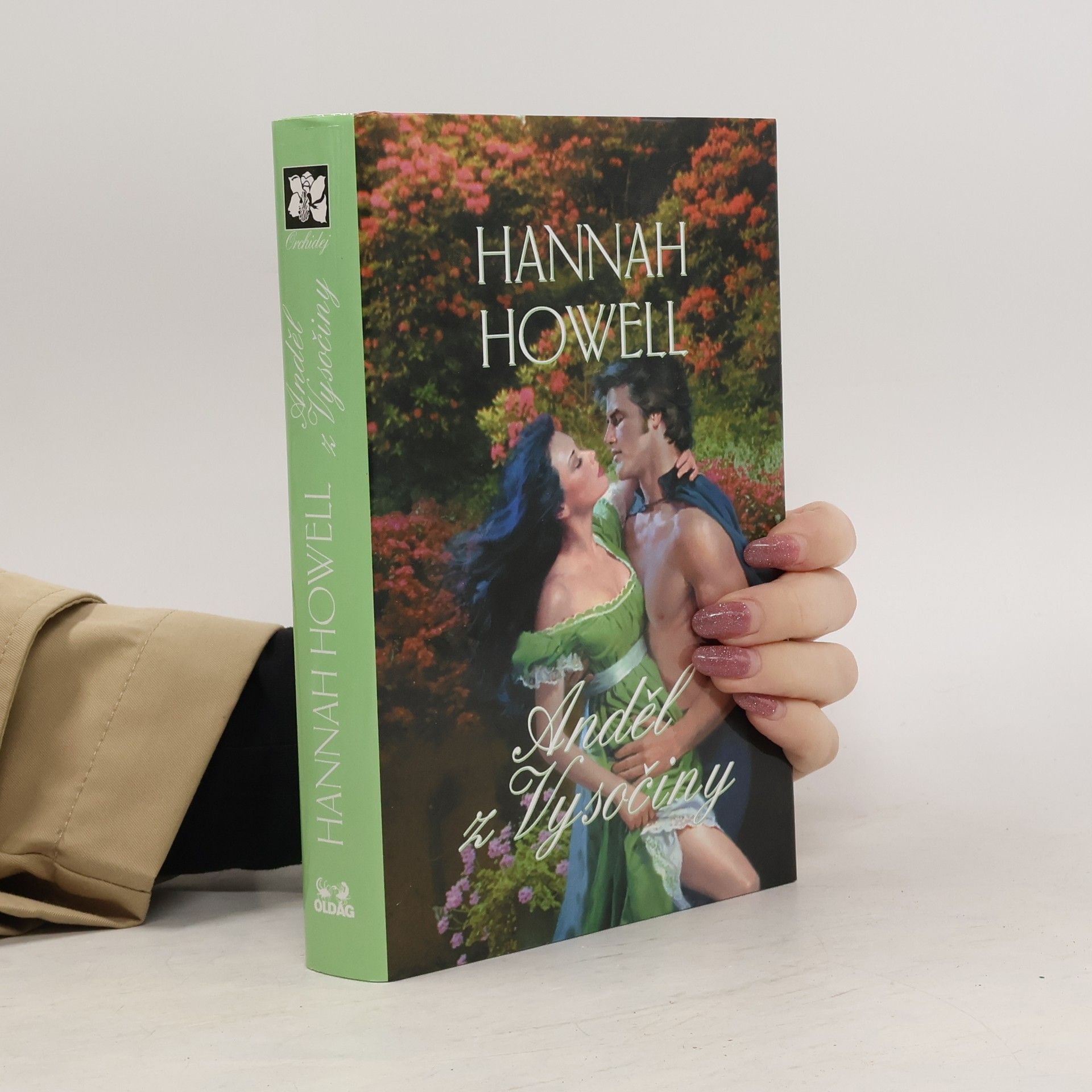 Hannah Howell Anděl z Vysočiny
