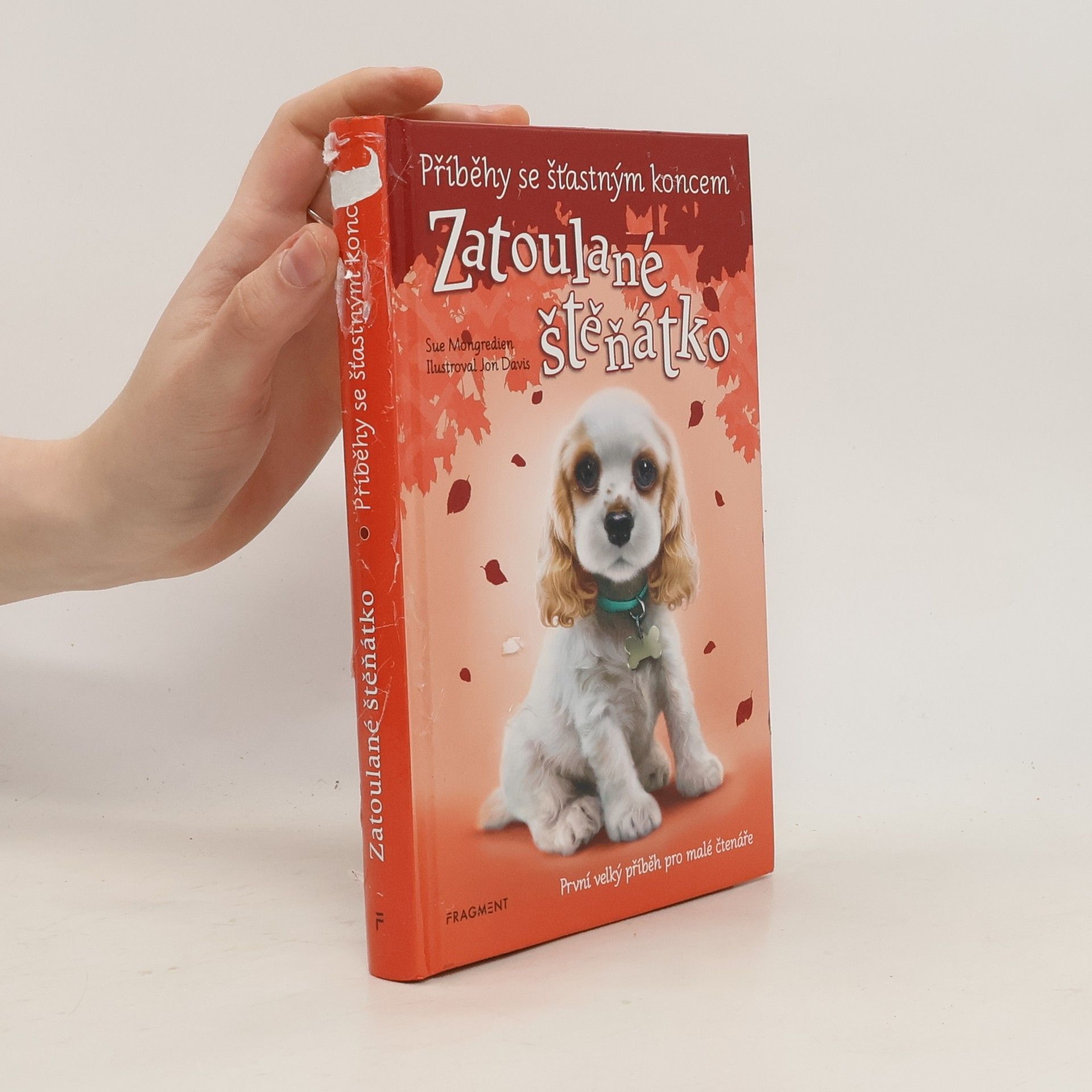Sue Mongredien Zatoulané štěňátko