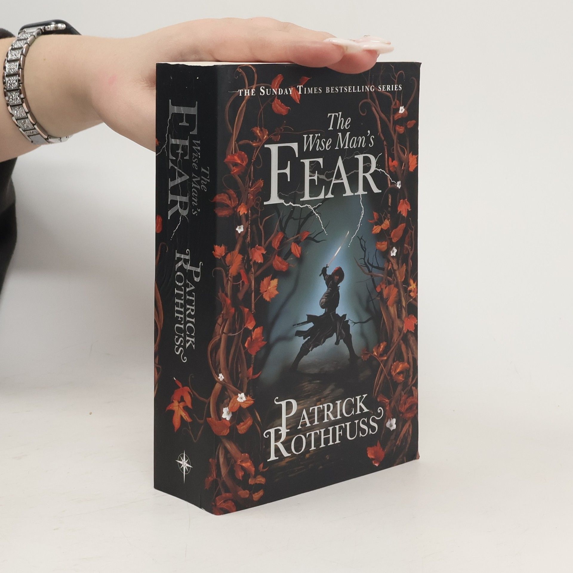 Patrick Rothfuss The wise man's fear