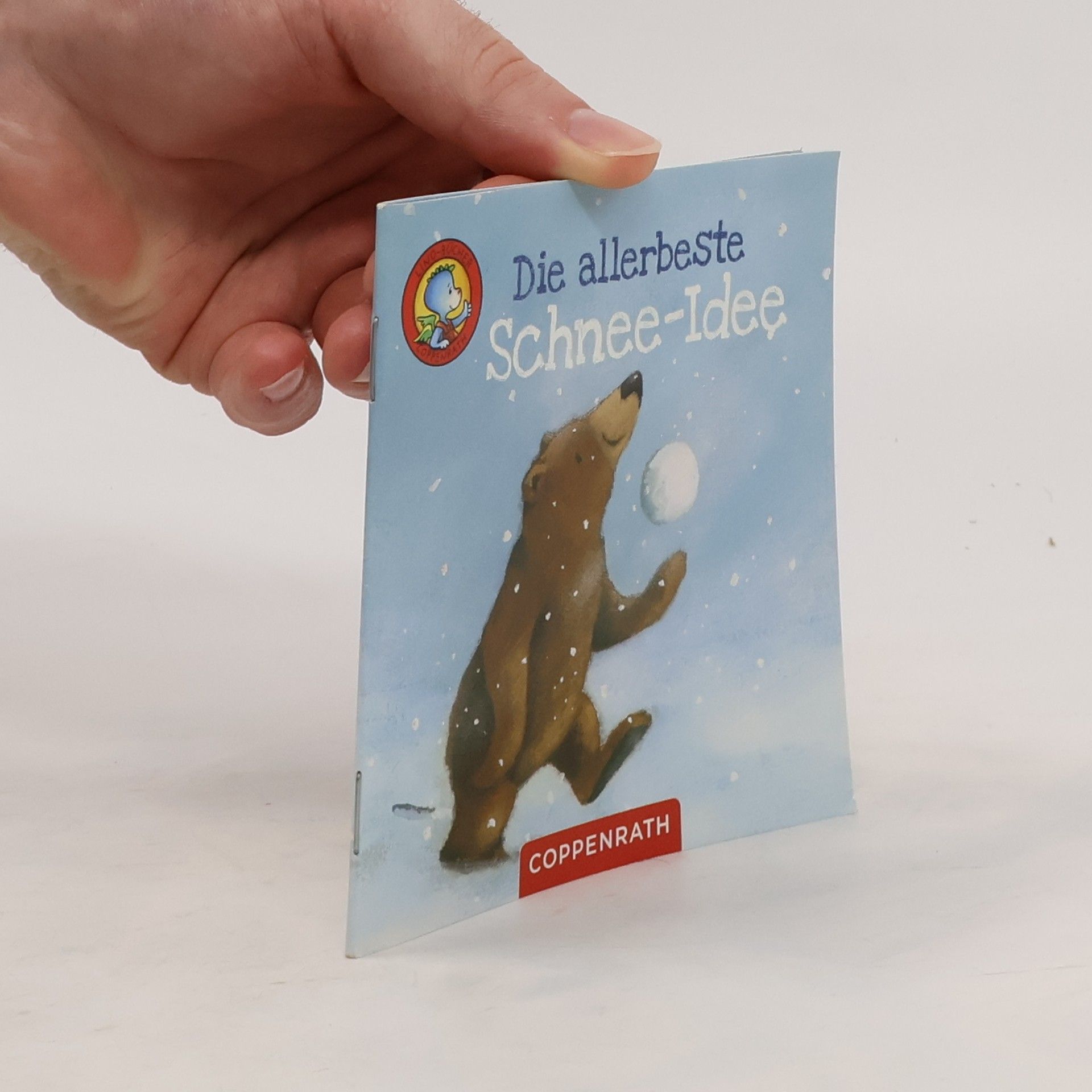 Kolektiv autorů Die allerbeste Schnee-Idee