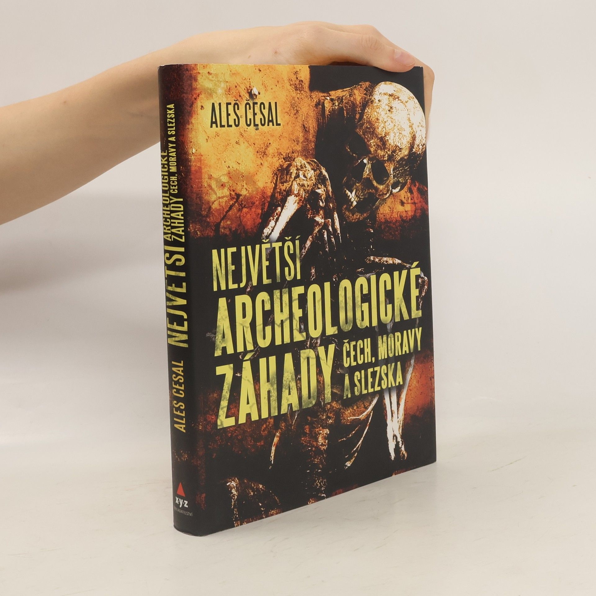 Aleš Česal Největší archeologické záhady Čech, Moravy a Slezska