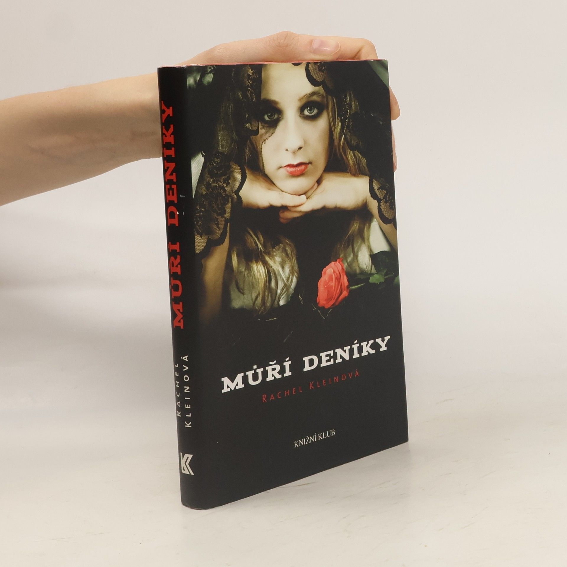 Rachel Klein Můří deníky