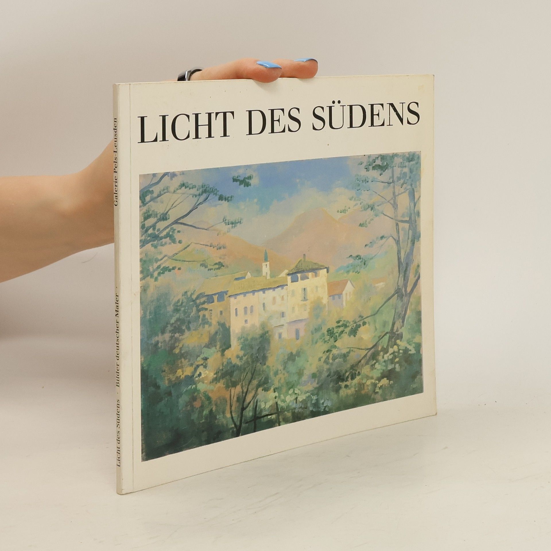 Collectif d'auteurs Licht des Südens